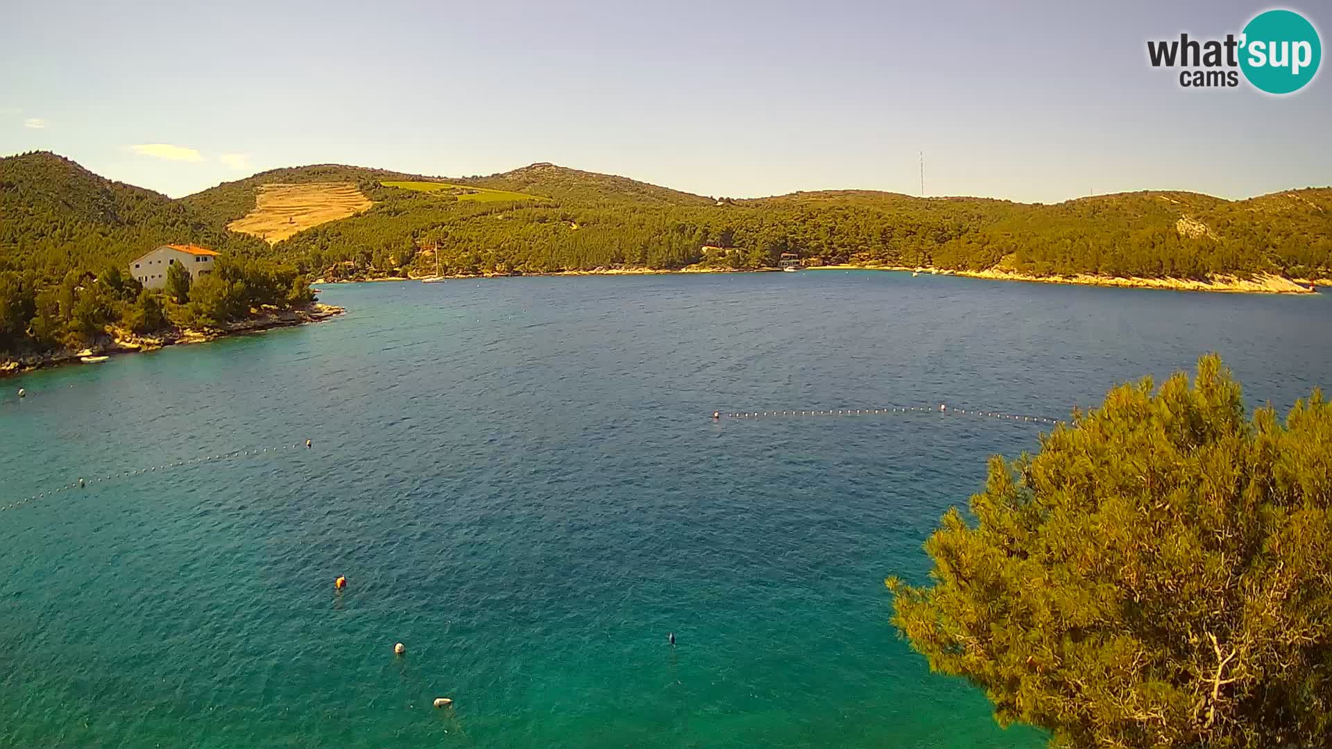 Hvar webcam Vira Strand | Hvar Insel | Dalmatien