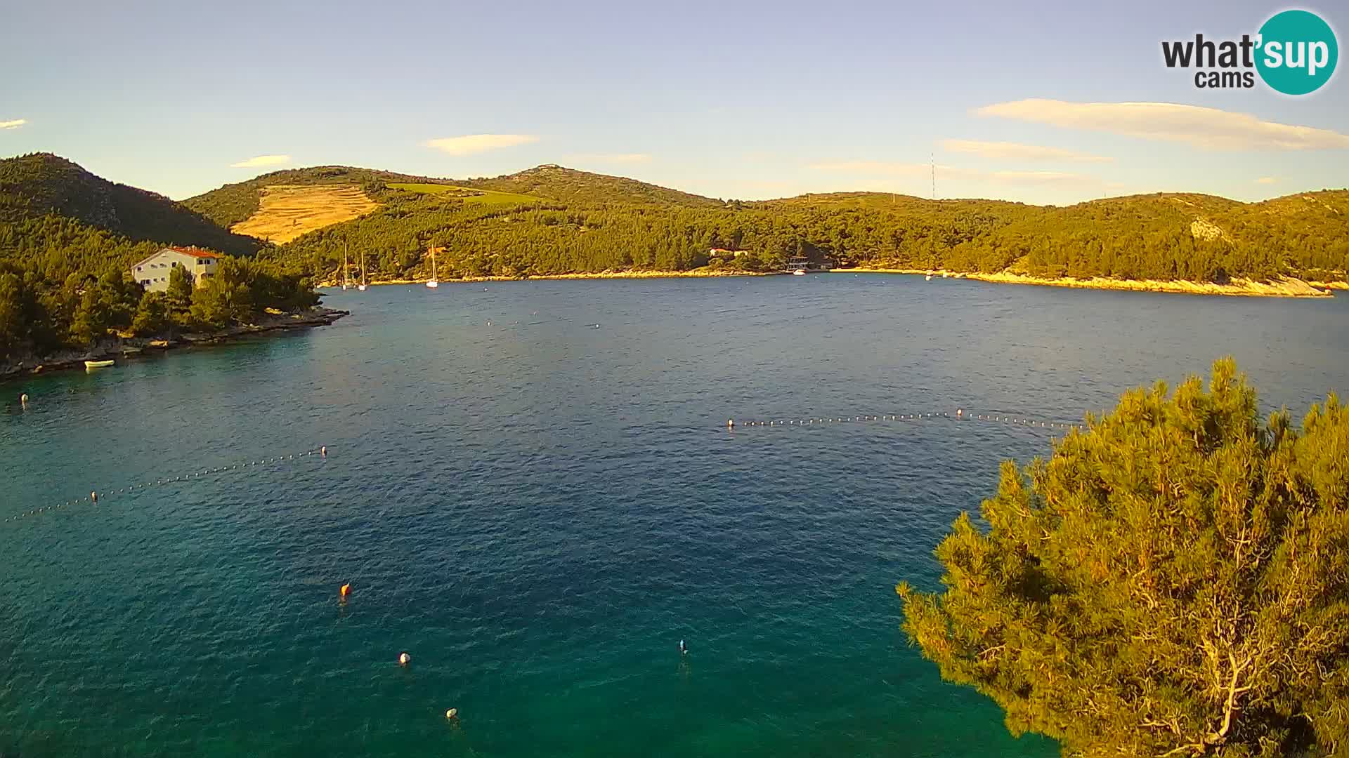 Camera Hvar Vira playa | Isla de Hvar | Dalmacia