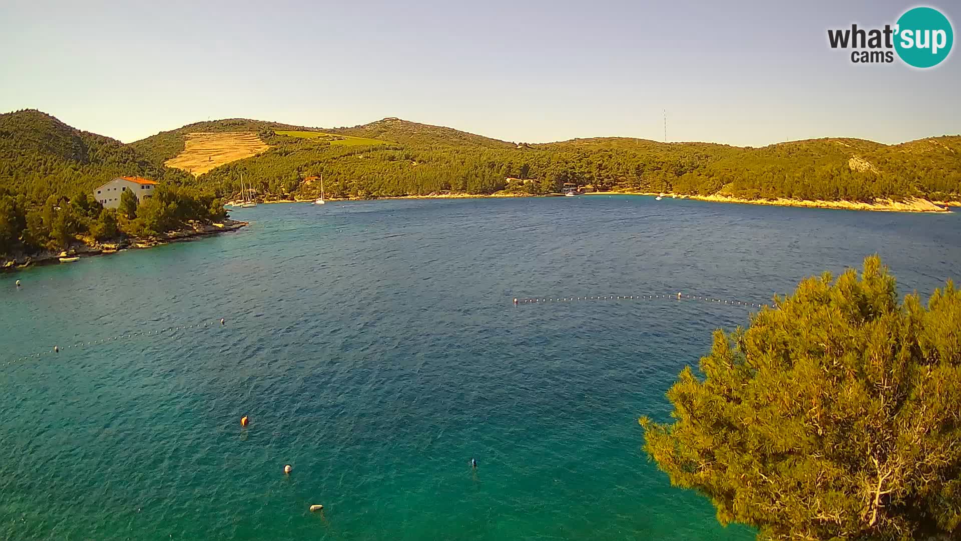 Live cam Hvar Vira plage | Île de Hvar | Dalmatie