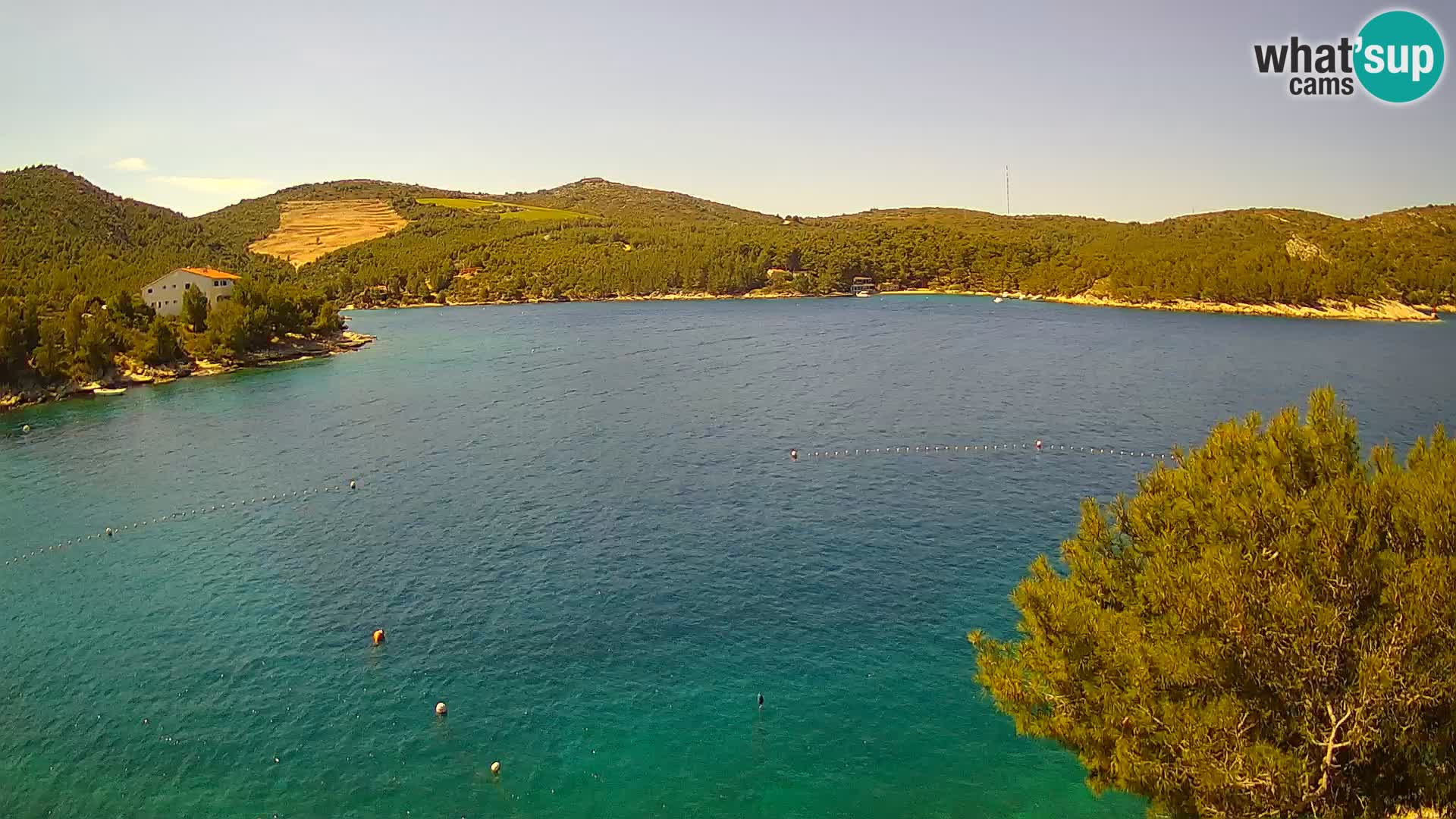 Camera Hvar Vira playa | Isla de Hvar | Dalmacia