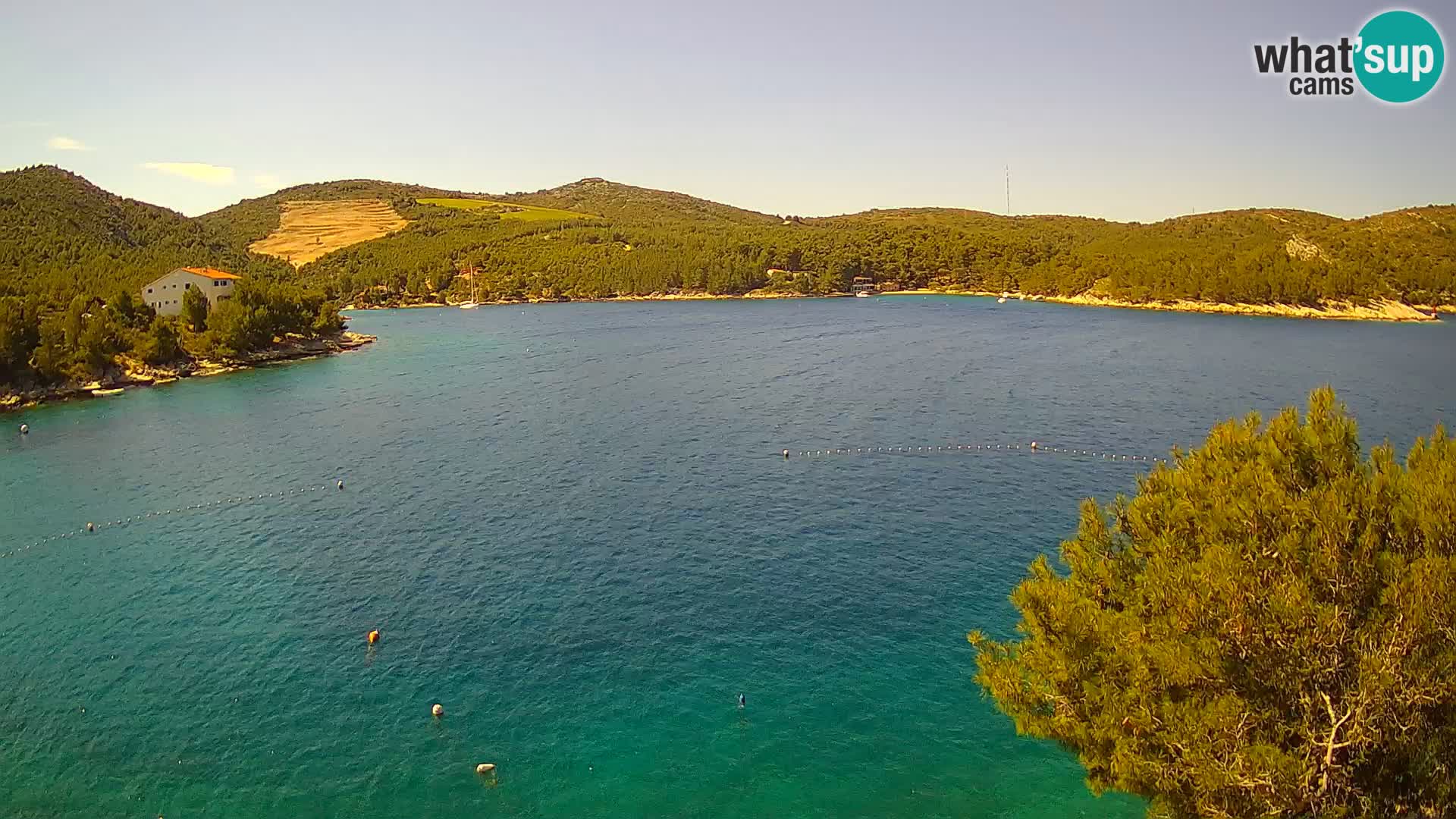 Camera Hvar Vira playa | Isla de Hvar | Dalmacia