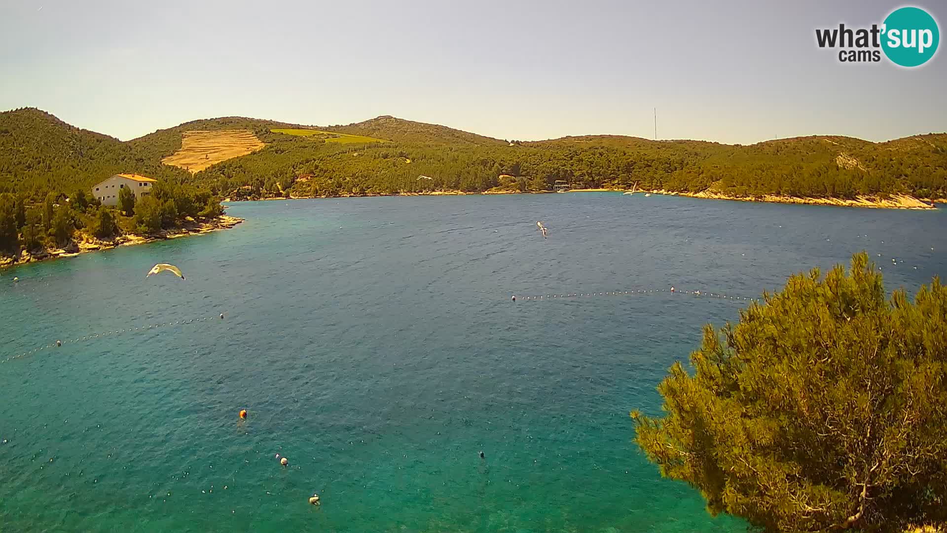 Web kamera Hvar Vira plaža | otok Hvar | Dalmacija