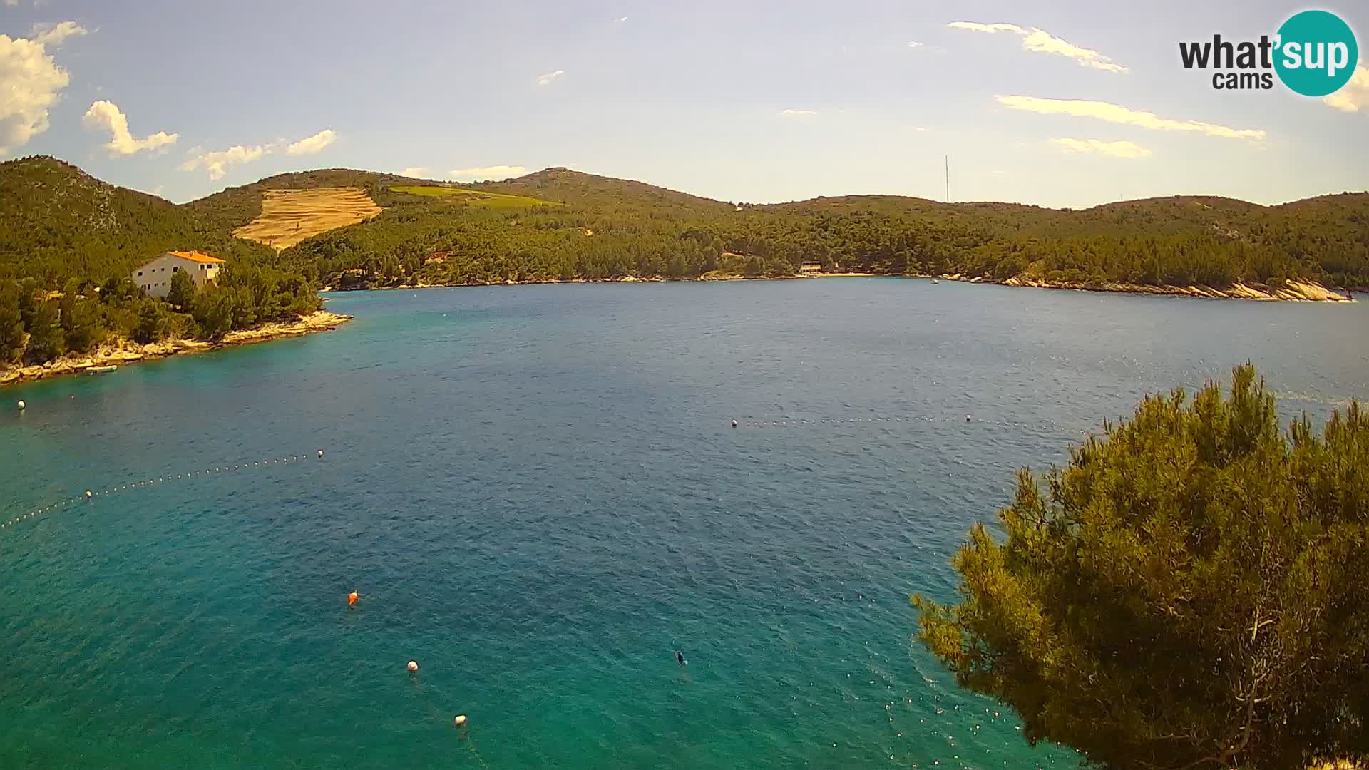 Camera Hvar Vira playa | Isla de Hvar | Dalmacia