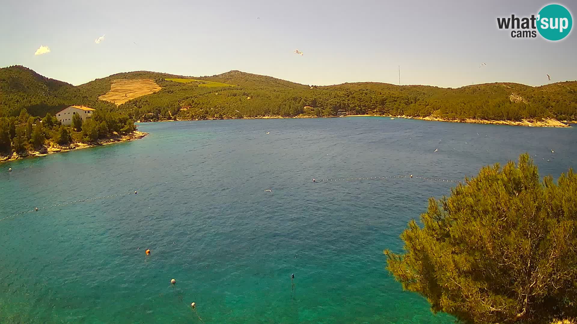 Webcam Hvar Vira beach | Hvar island | Dalmatia