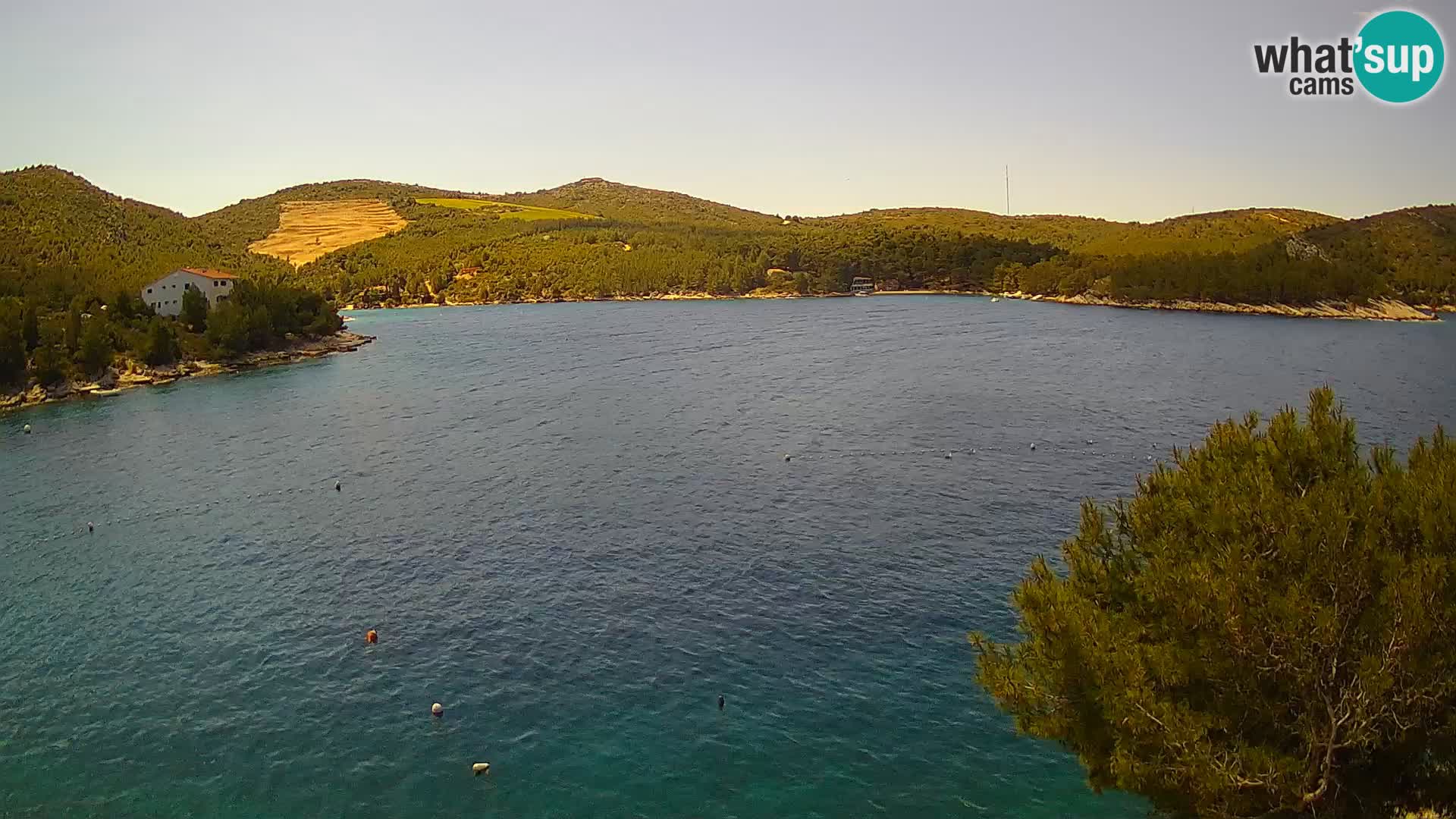 Live cam Hvar Vira plage | Île de Hvar | Dalmatie
