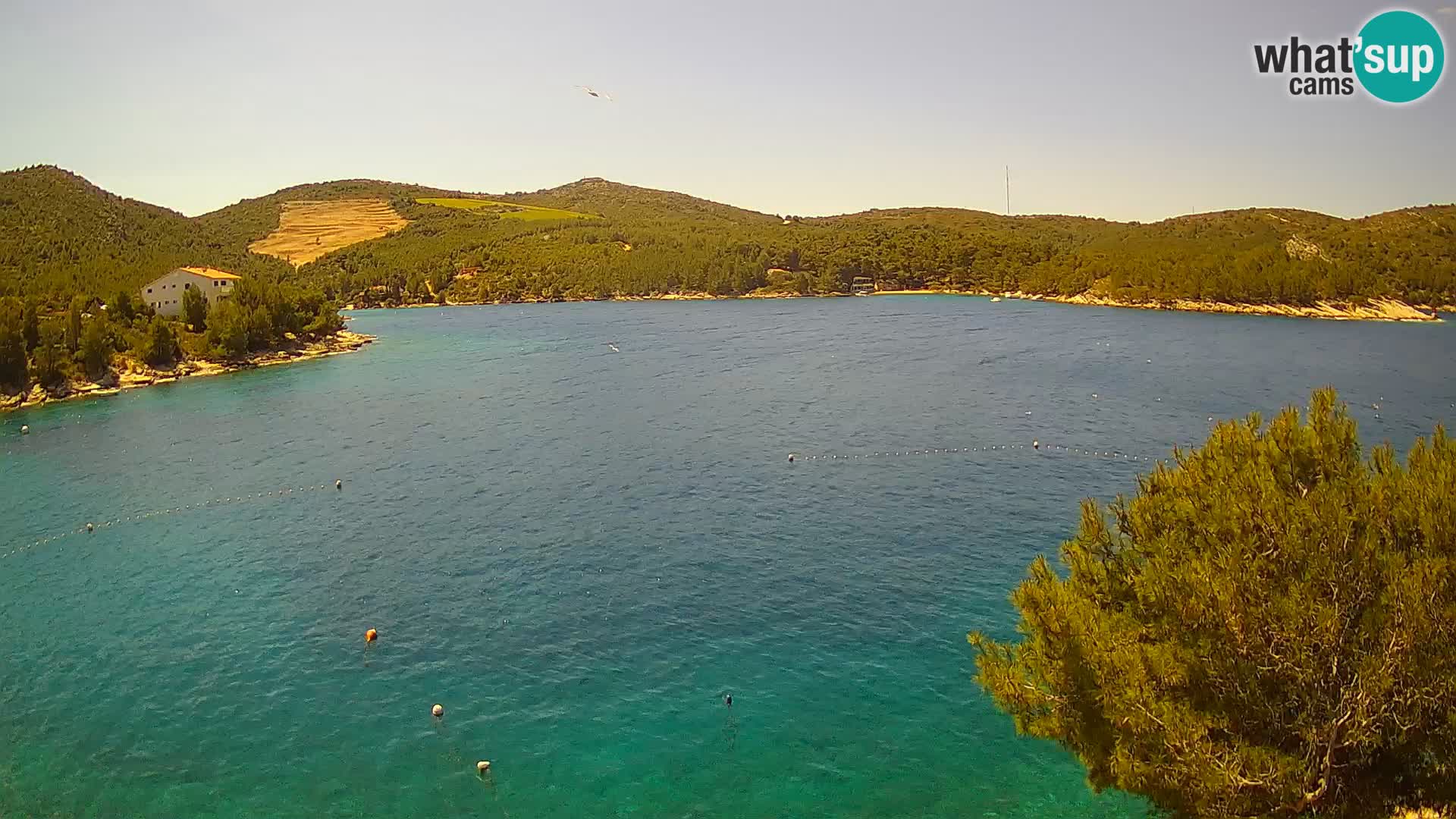 Webcam Hvar Vira beach | Hvar island | Dalmatia