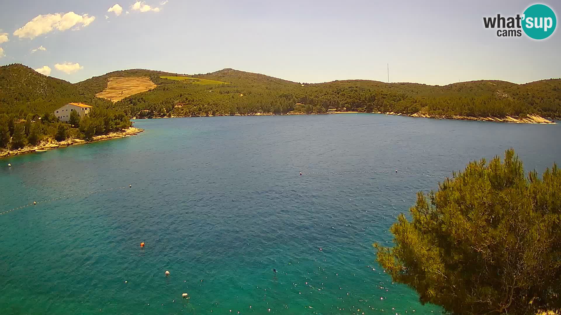 Camera Hvar Vira playa | Isla de Hvar | Dalmacia