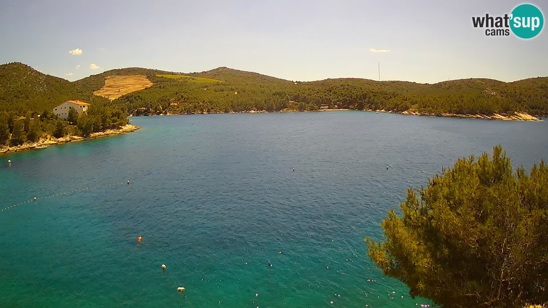 Hvar webcam Vira Strand | Hvar Insel | Dalmatien