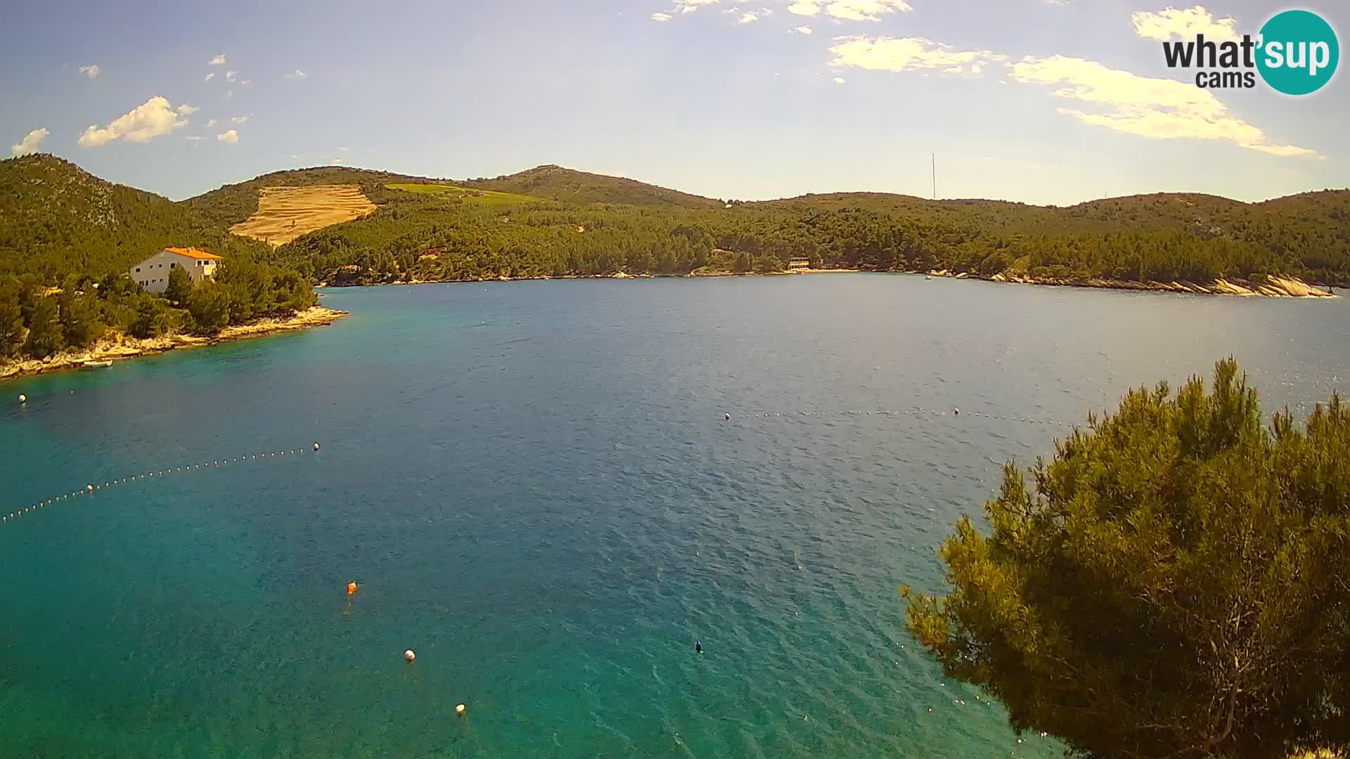 Camera Hvar Vira playa | Isla de Hvar | Dalmacia