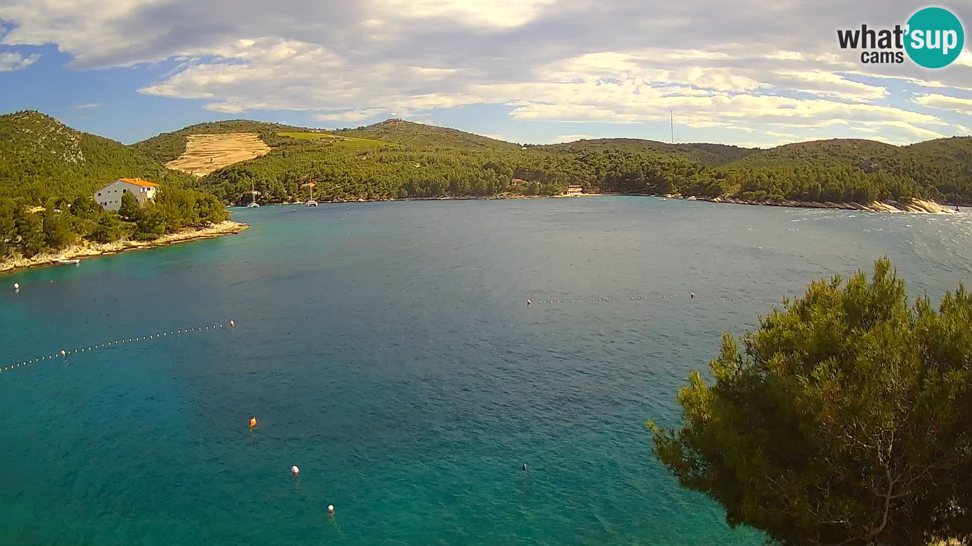 Camera Hvar Vira playa | Isla de Hvar | Dalmacia