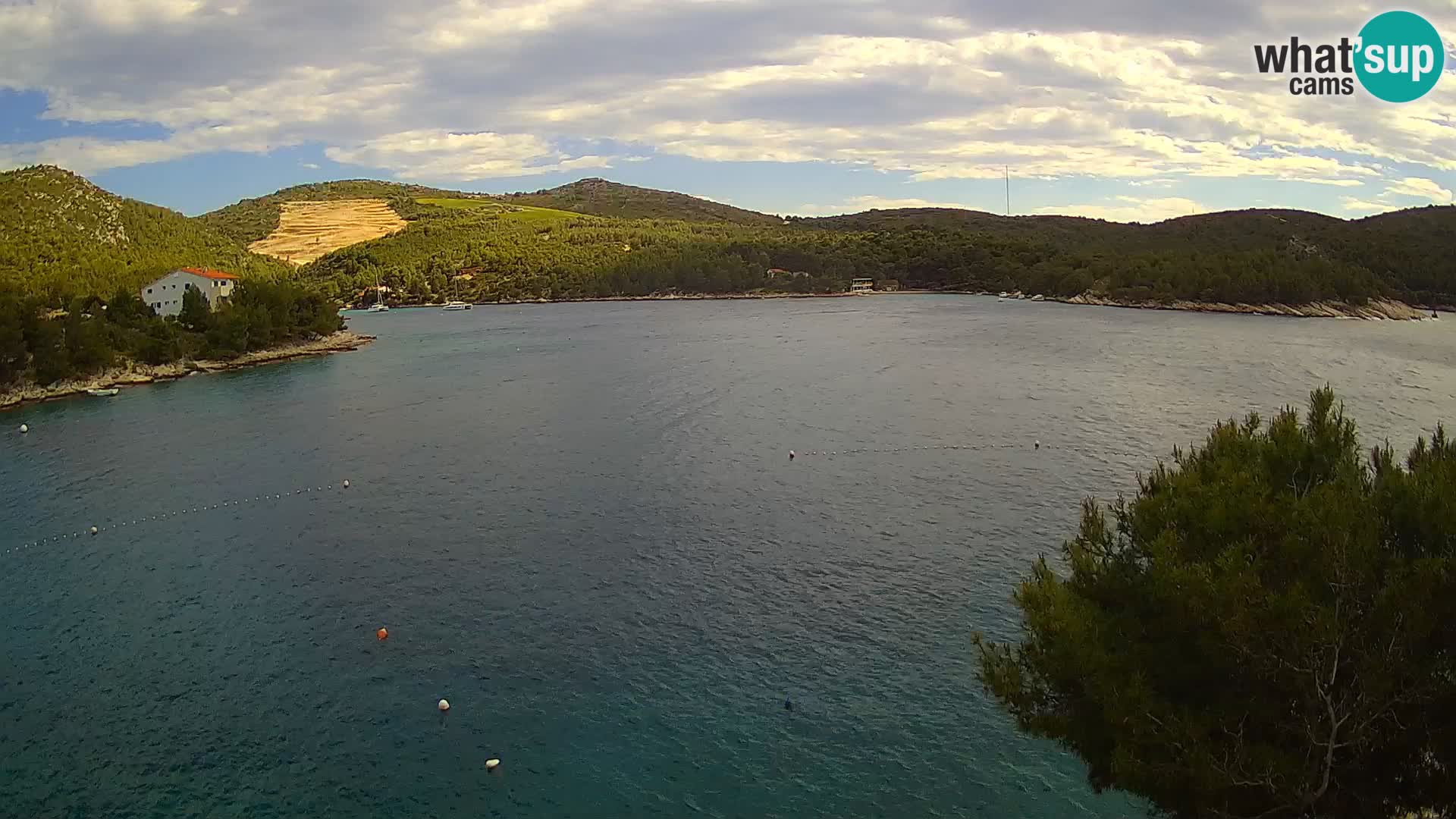 Camera Hvar Vira playa | Isla de Hvar | Dalmacia