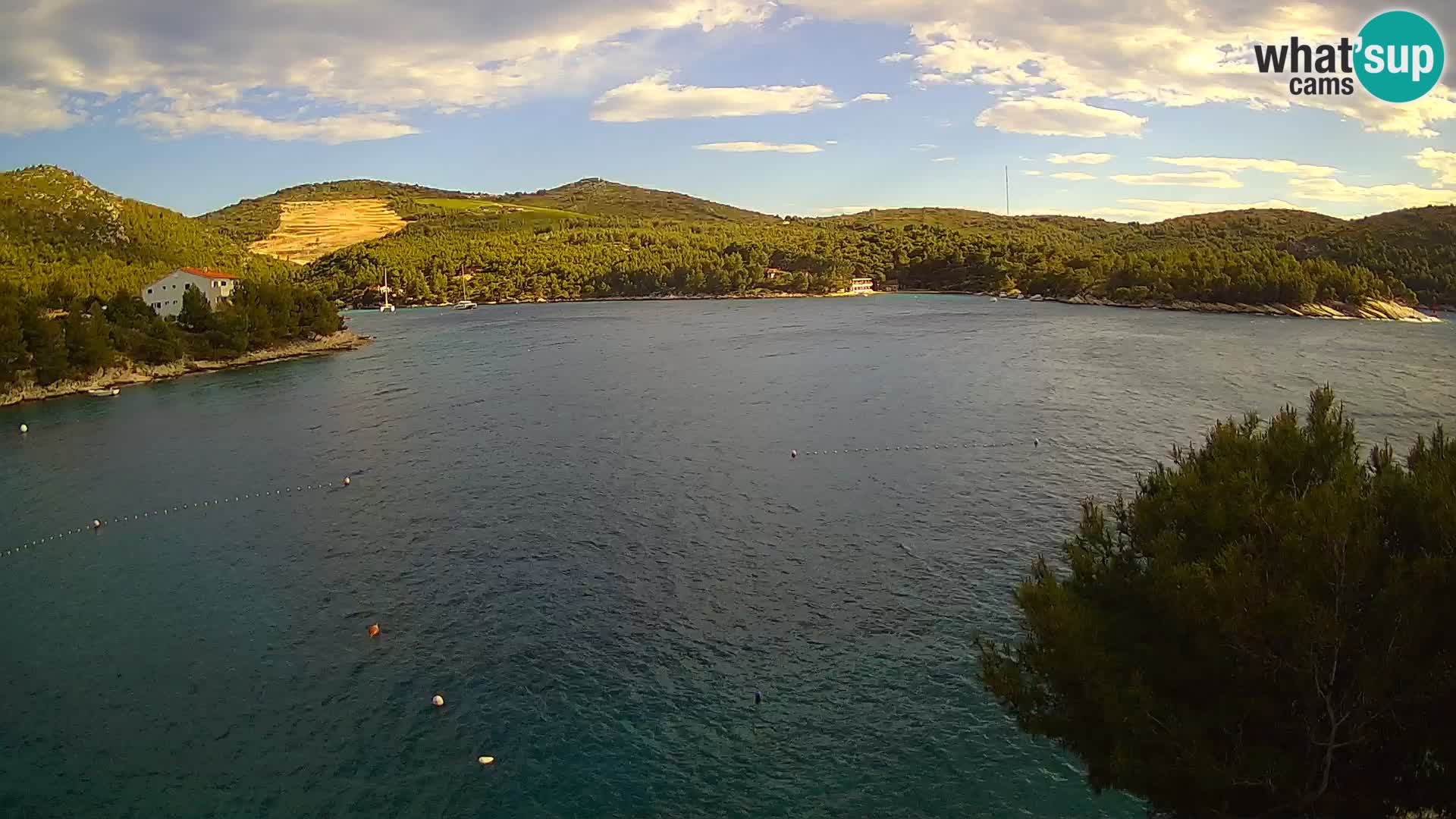 Camera Hvar Vira playa | Isla de Hvar | Dalmacia