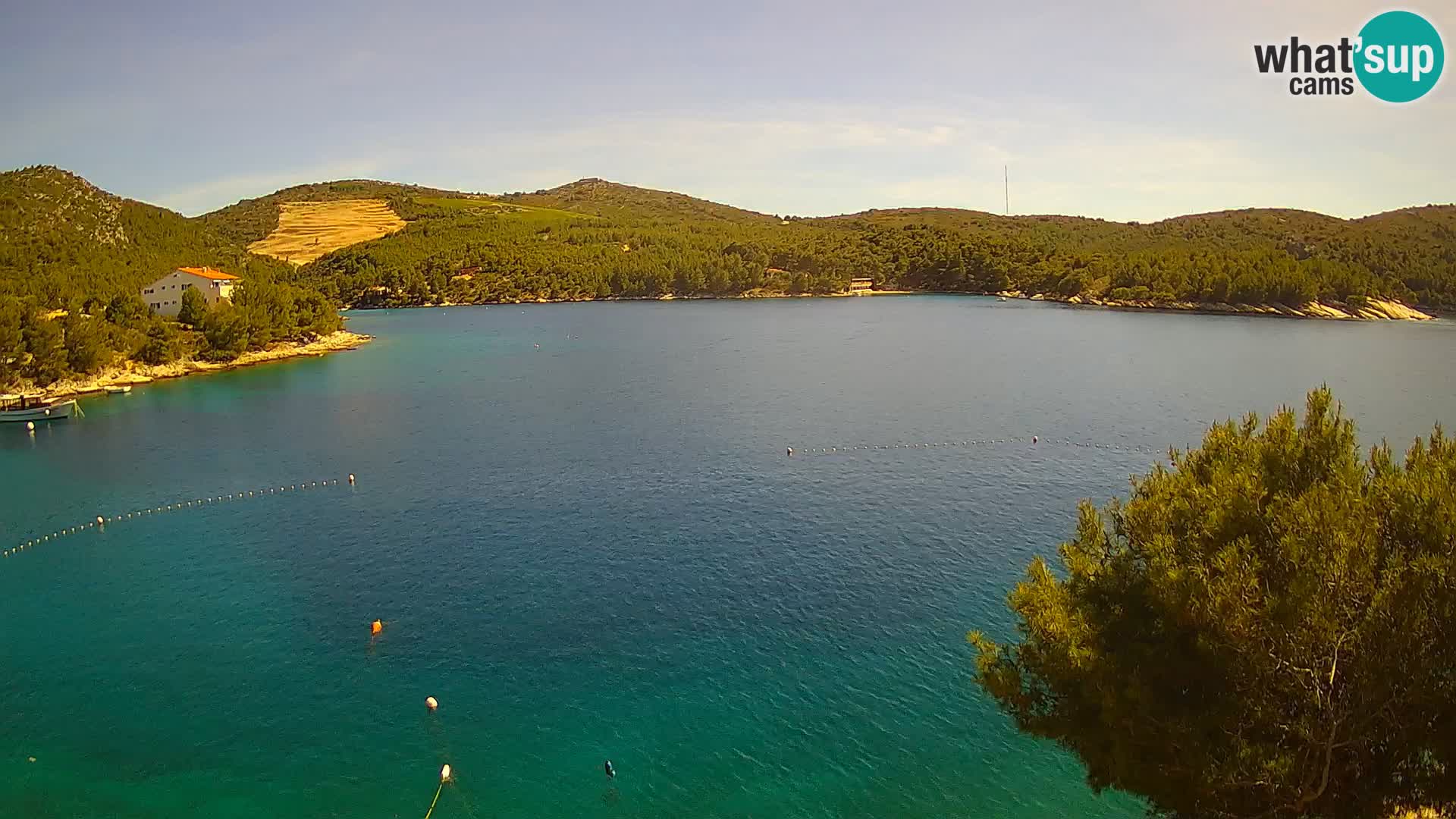 Webcam Hvar Vira beach | Hvar island | Dalmatia