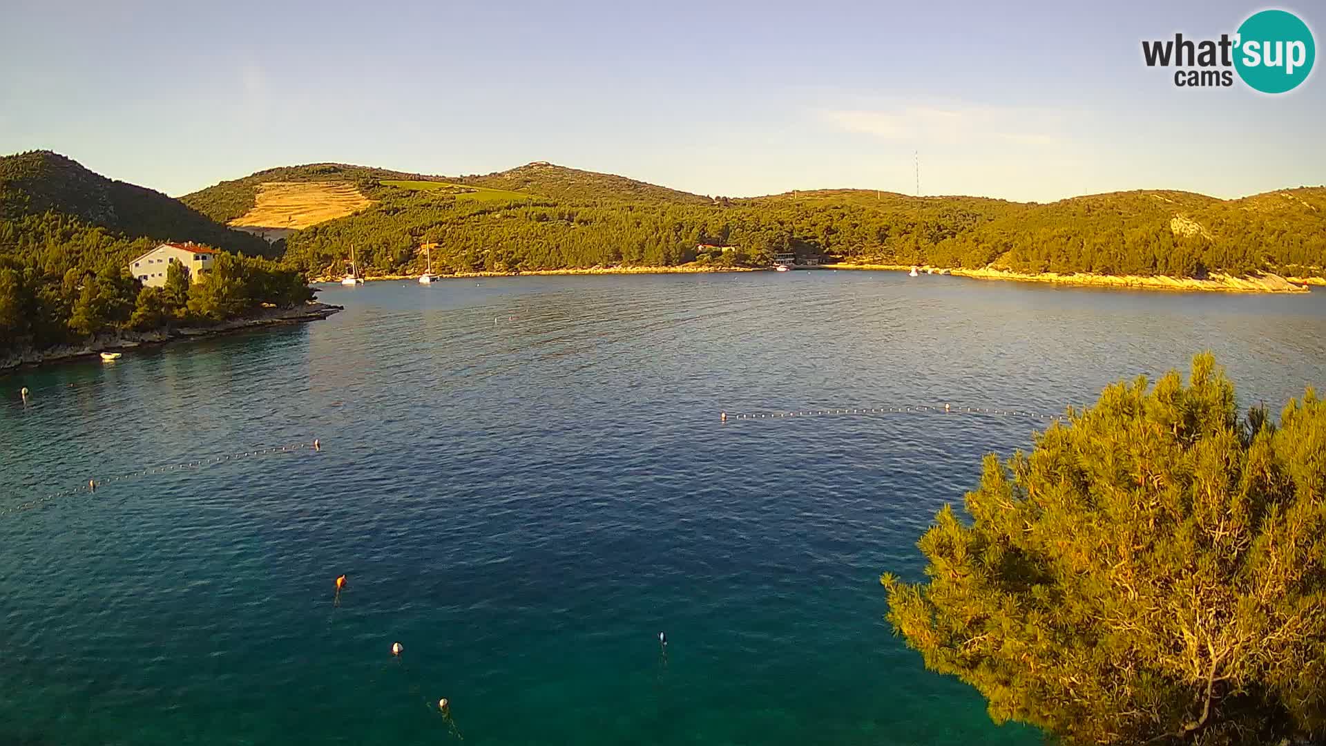 Hvar webcam Vira Strand | Hvar Insel | Dalmatien
