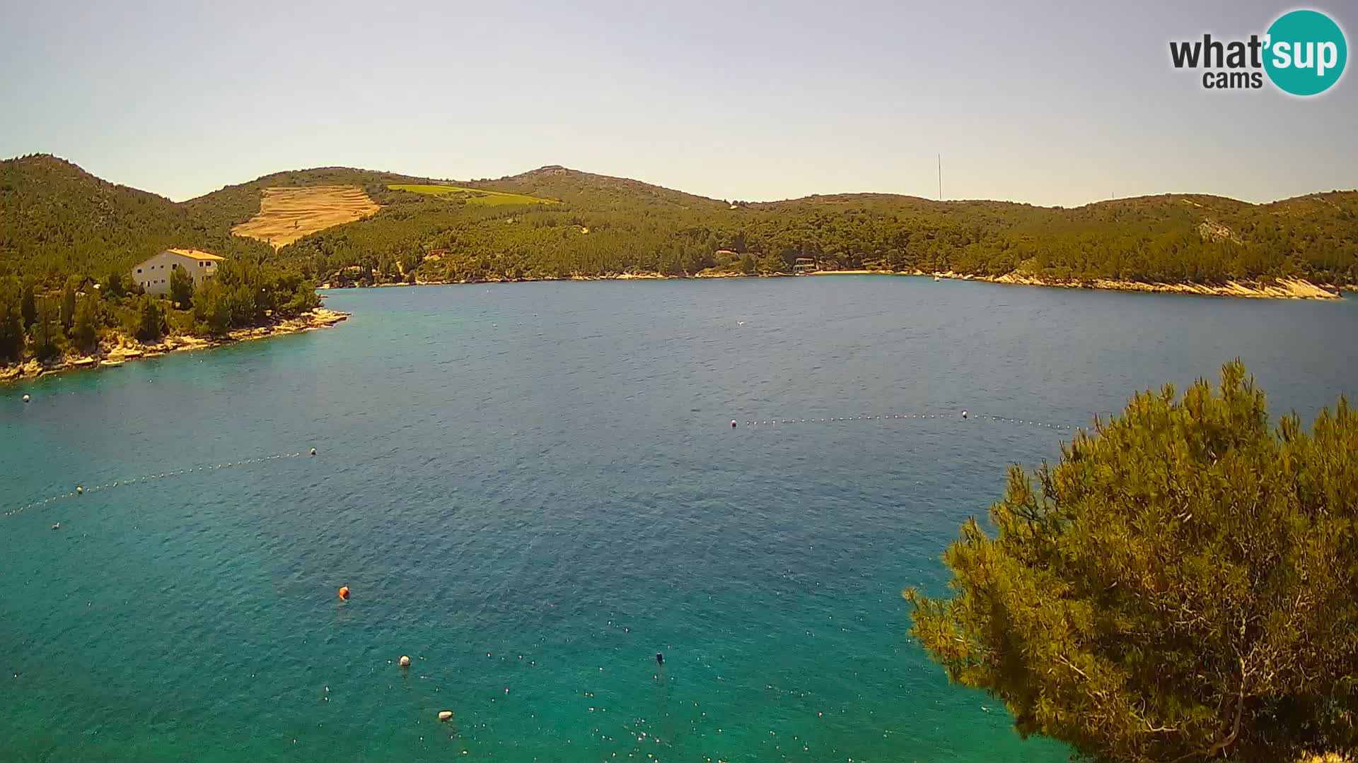 Camera Hvar Vira playa | Isla de Hvar | Dalmacia