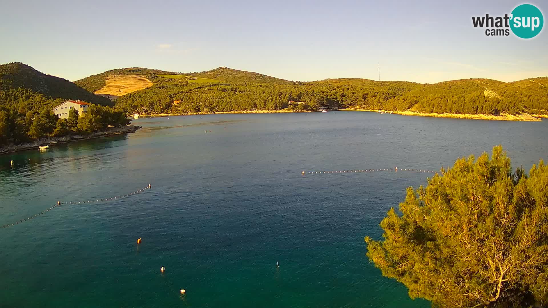 Hvar webcam Vira Strand | Hvar Insel | Dalmatien