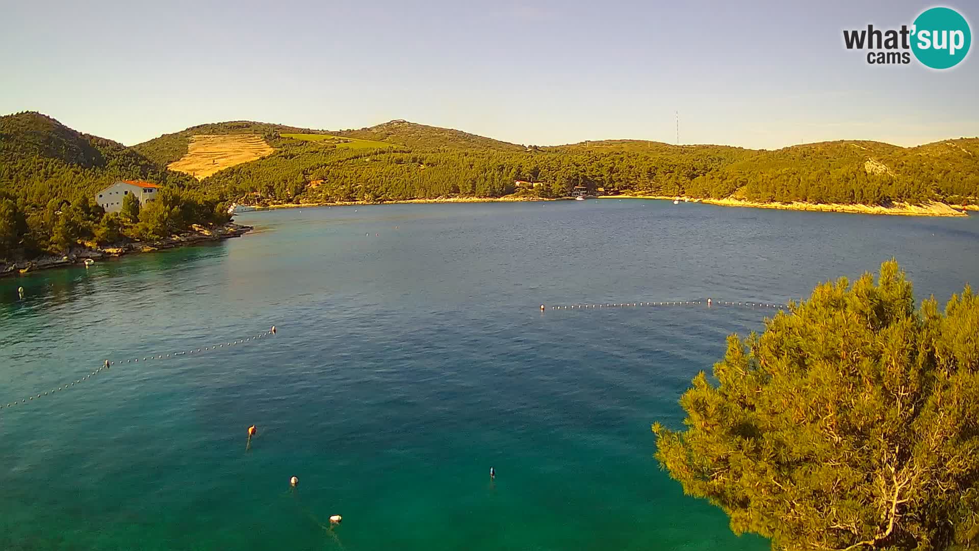 Camera Hvar Vira playa | Isla de Hvar | Dalmacia