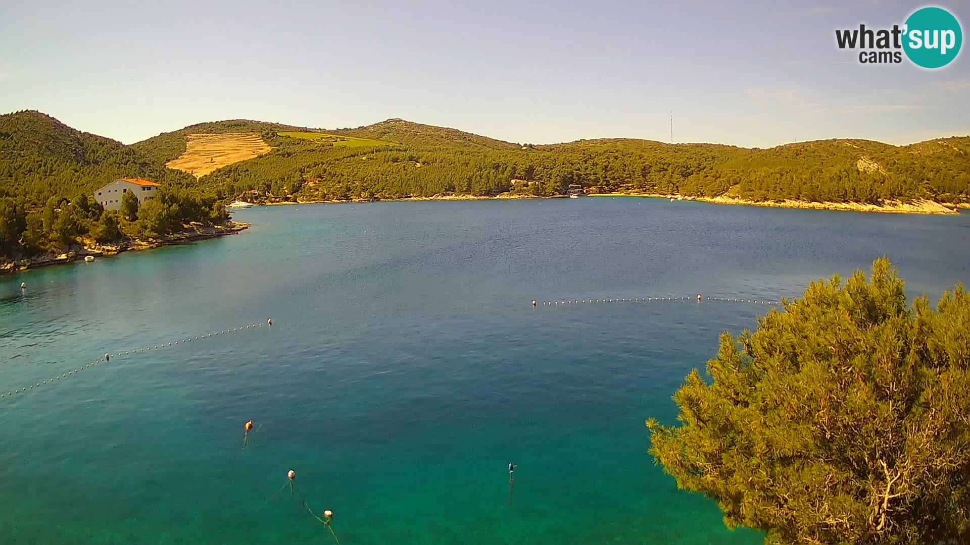 Live cam Hvar Vira plage | Île de Hvar | Dalmatie