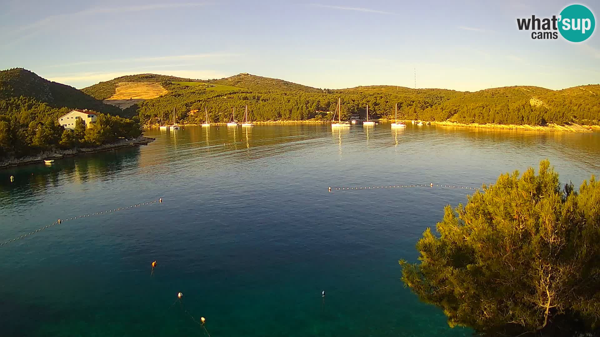 Camera Hvar Vira playa | Isla de Hvar | Dalmacia