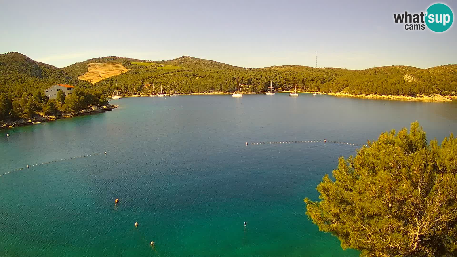 Live cam Hvar Vira plage | Île de Hvar | Dalmatie