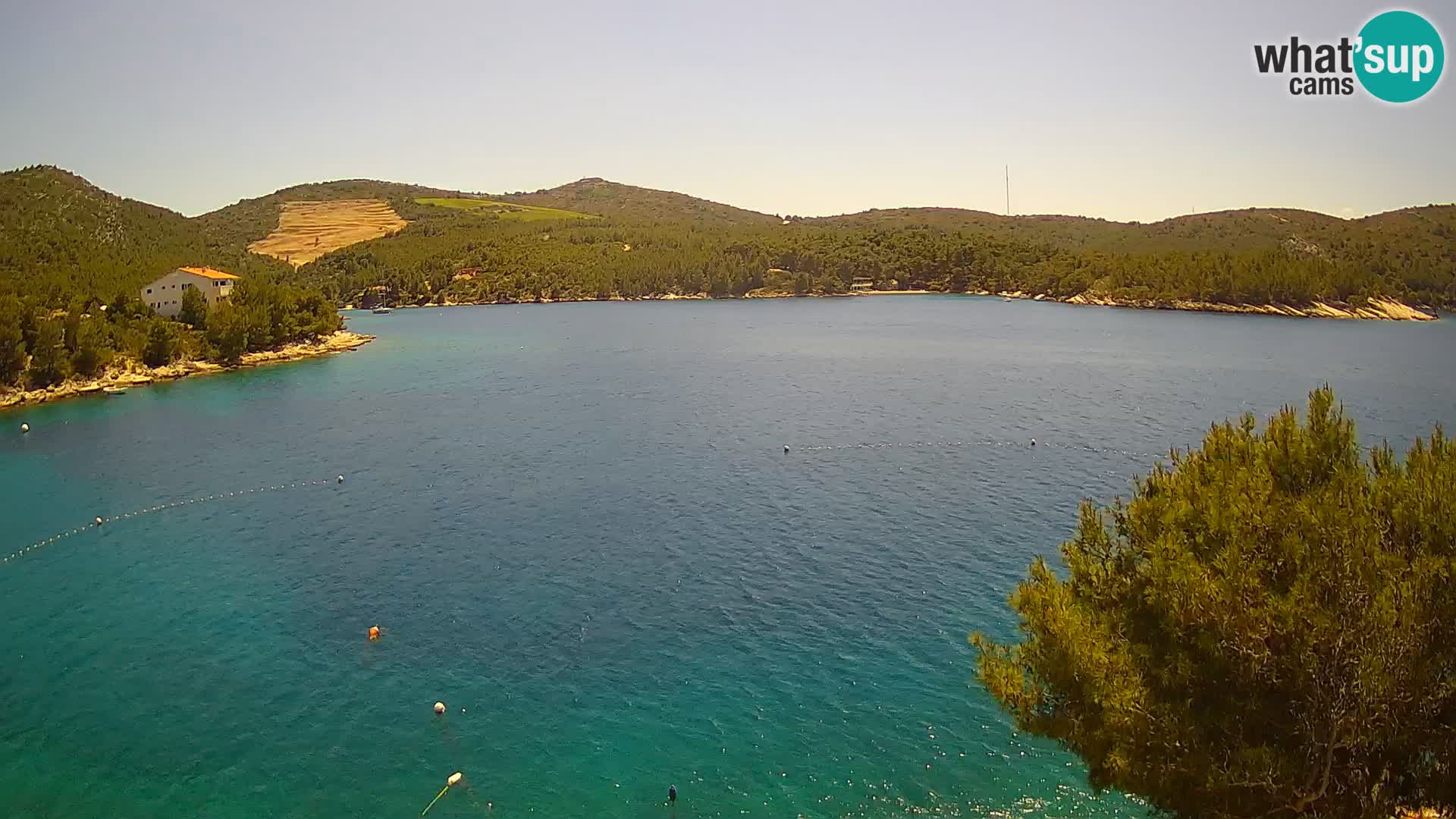 Camera Hvar Vira playa | Isla de Hvar | Dalmacia
