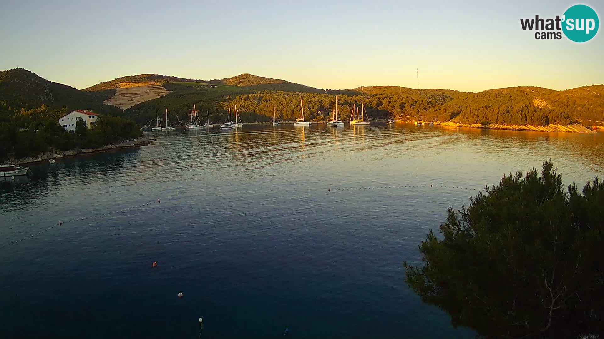 Hvar webcam Vira Strand | Hvar Insel | Dalmatien