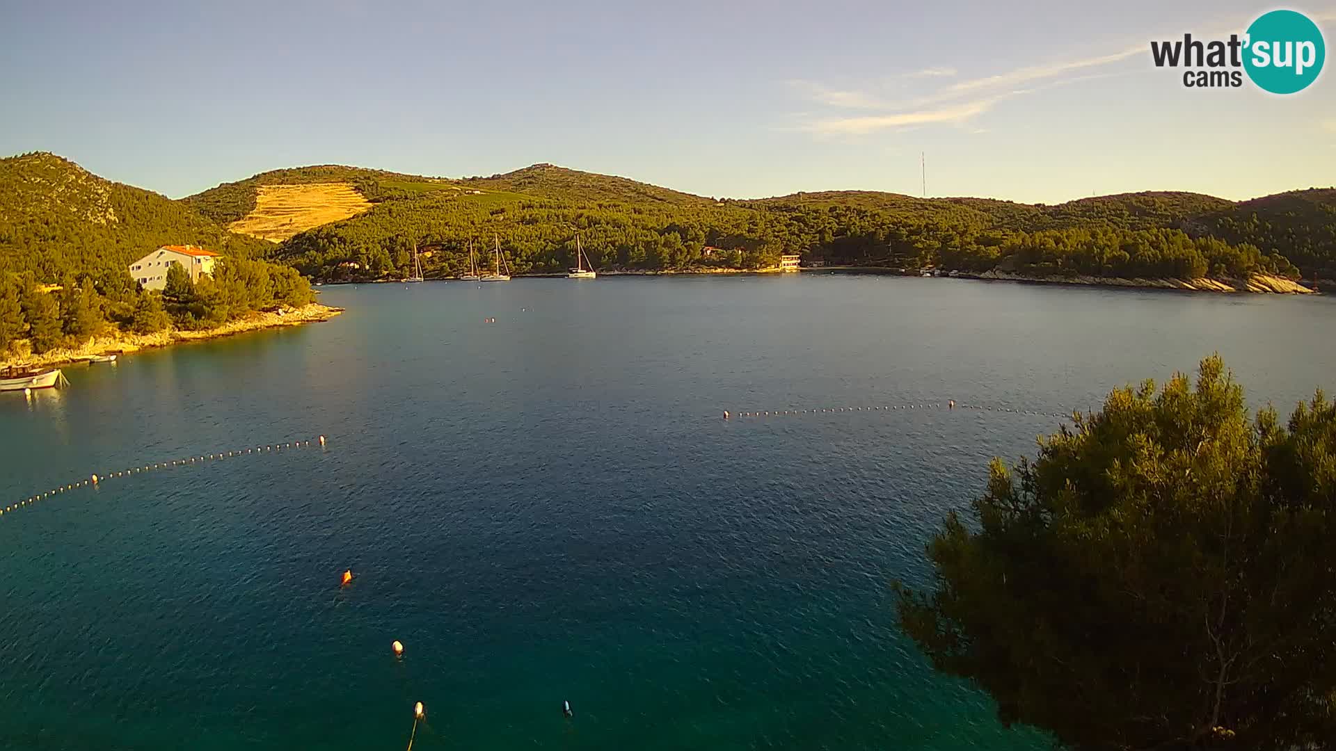 Camera Hvar Vira playa | Isla de Hvar | Dalmacia