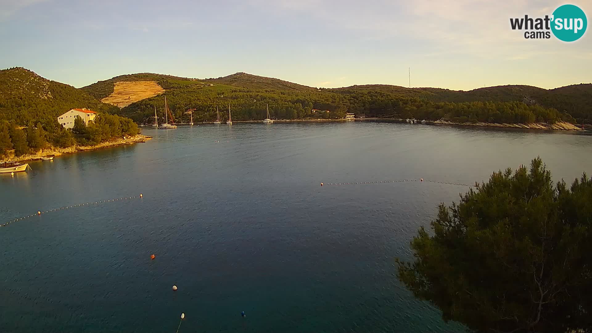 Camera Hvar Vira playa | Isla de Hvar | Dalmacia