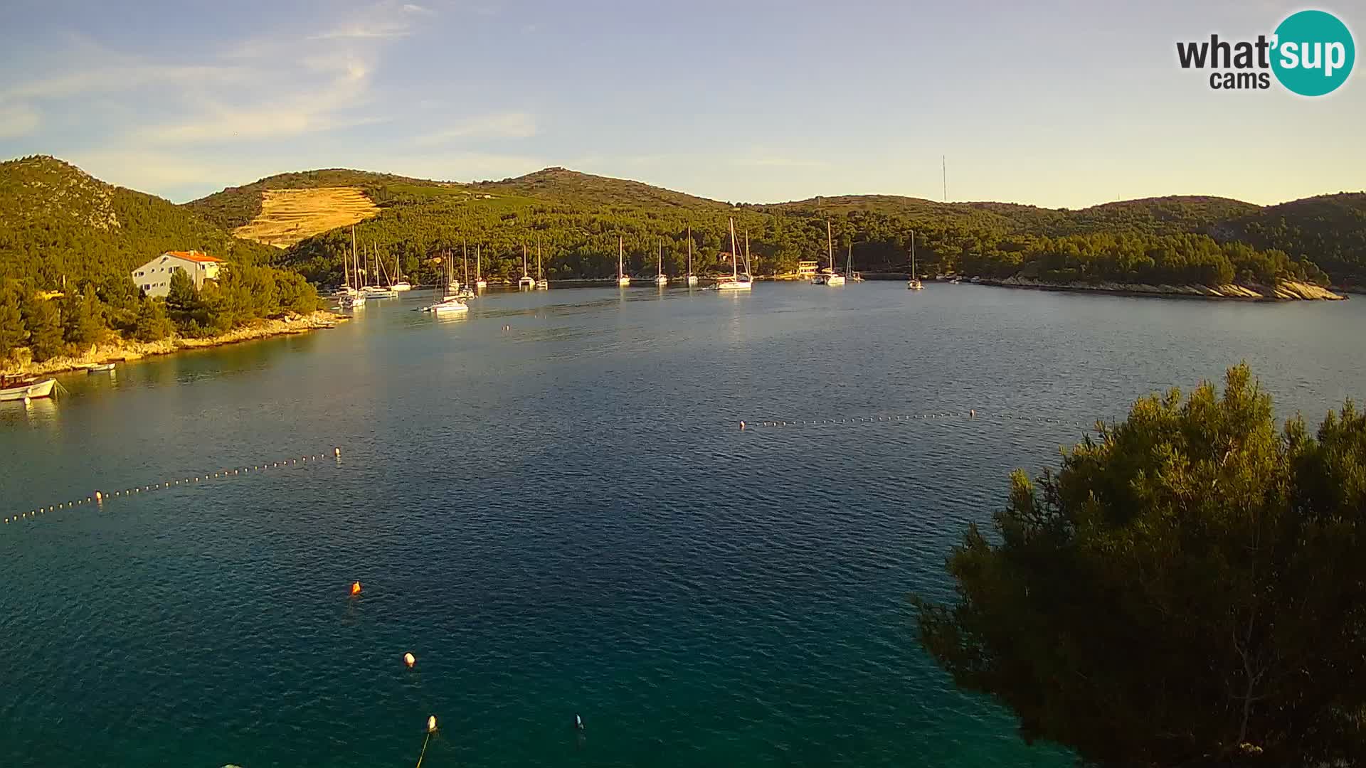 Hvar webcam Vira Strand | Hvar Insel | Dalmatien