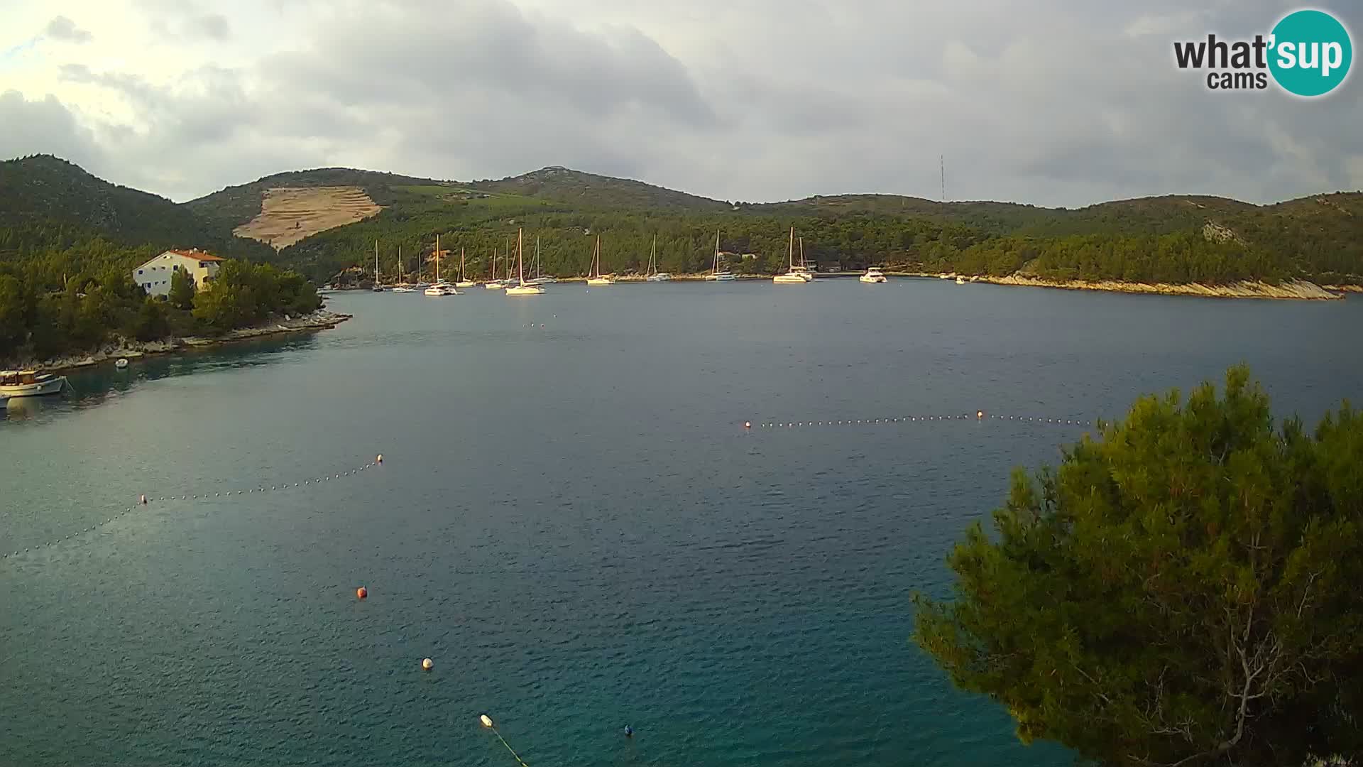 Hvar webcam Vira Strand | Hvar Insel | Dalmatien