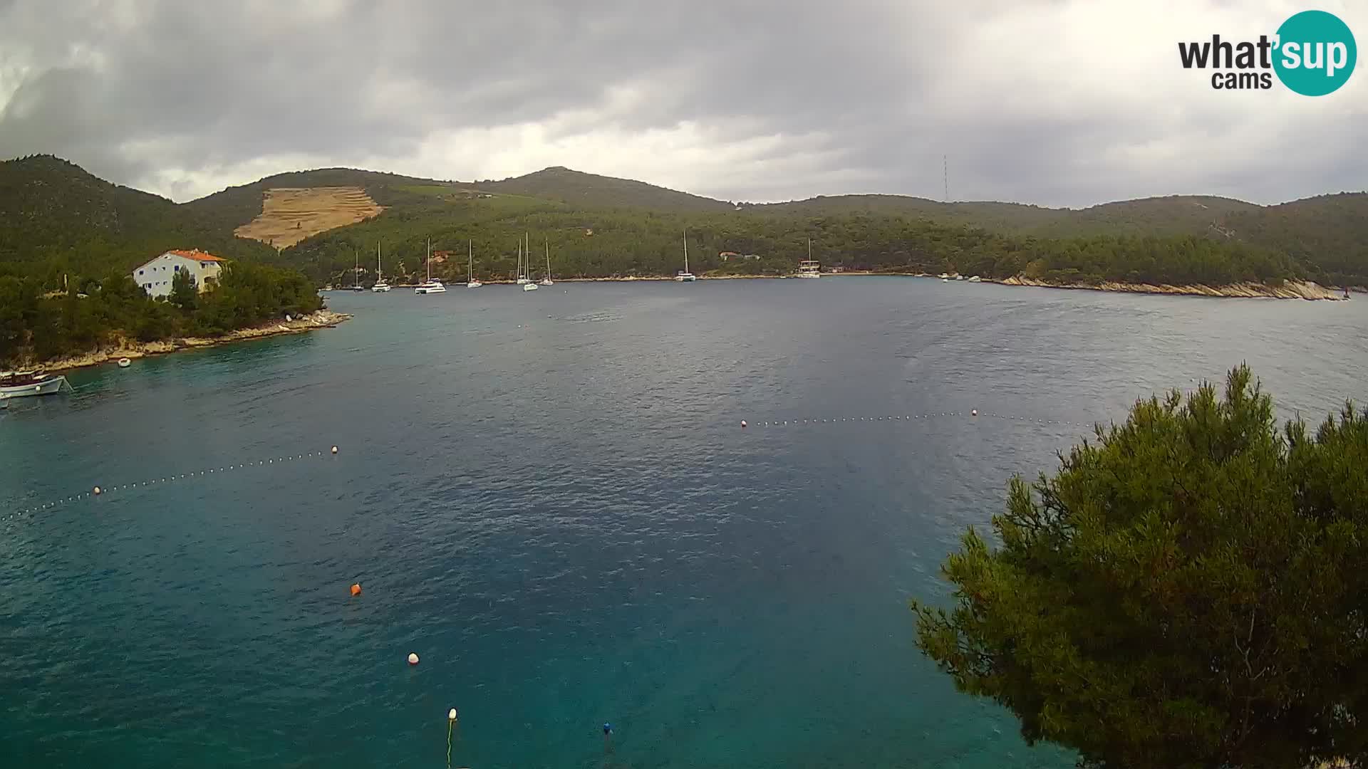 Camera Hvar Vira playa | Isla de Hvar | Dalmacia