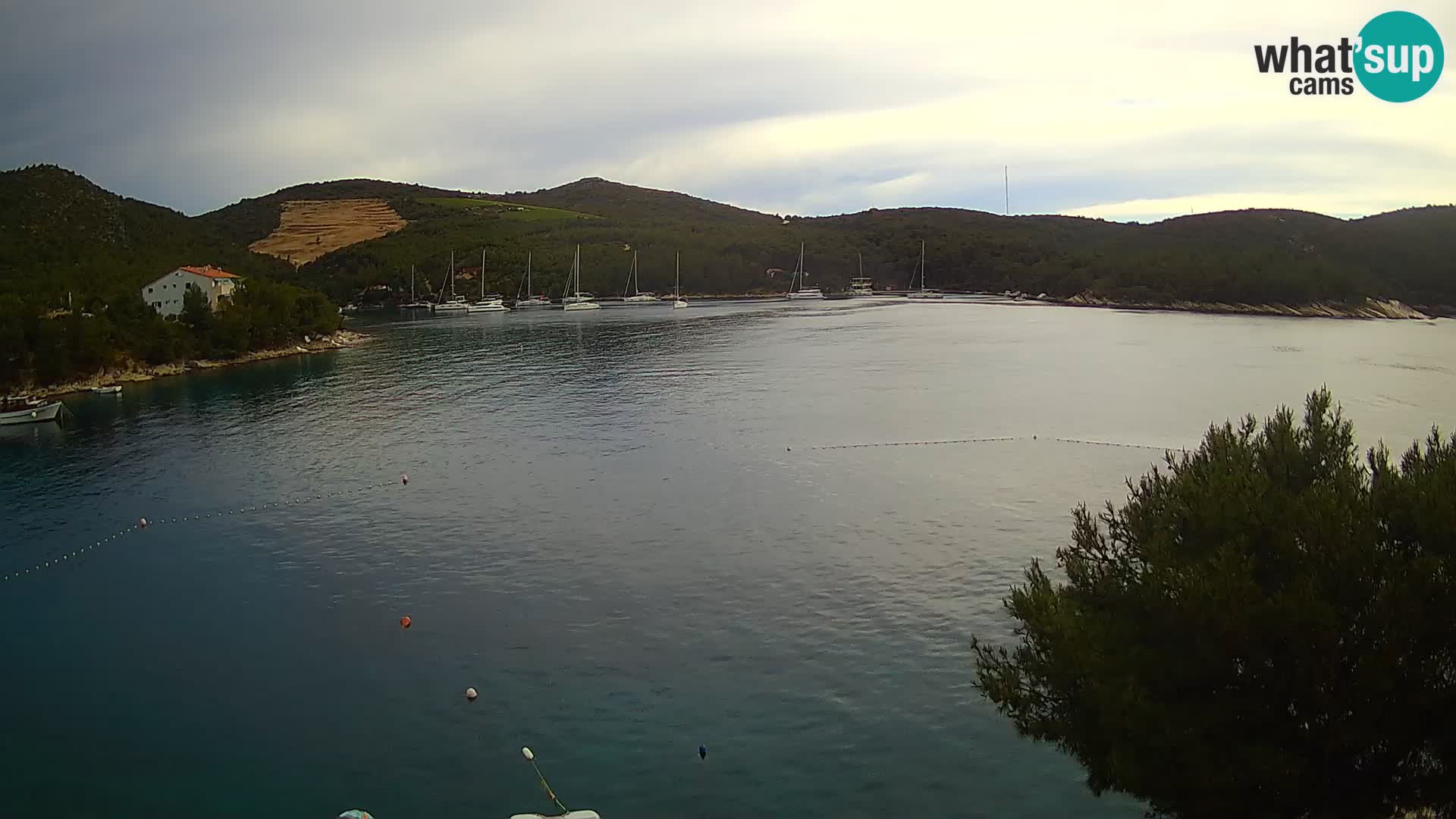 Webcam Hvar Vira beach | Hvar island | Dalmatia