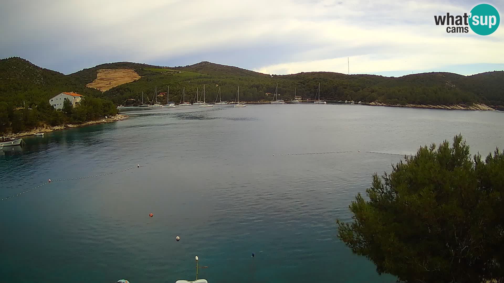Camera Hvar Vira playa | Isla de Hvar | Dalmacia