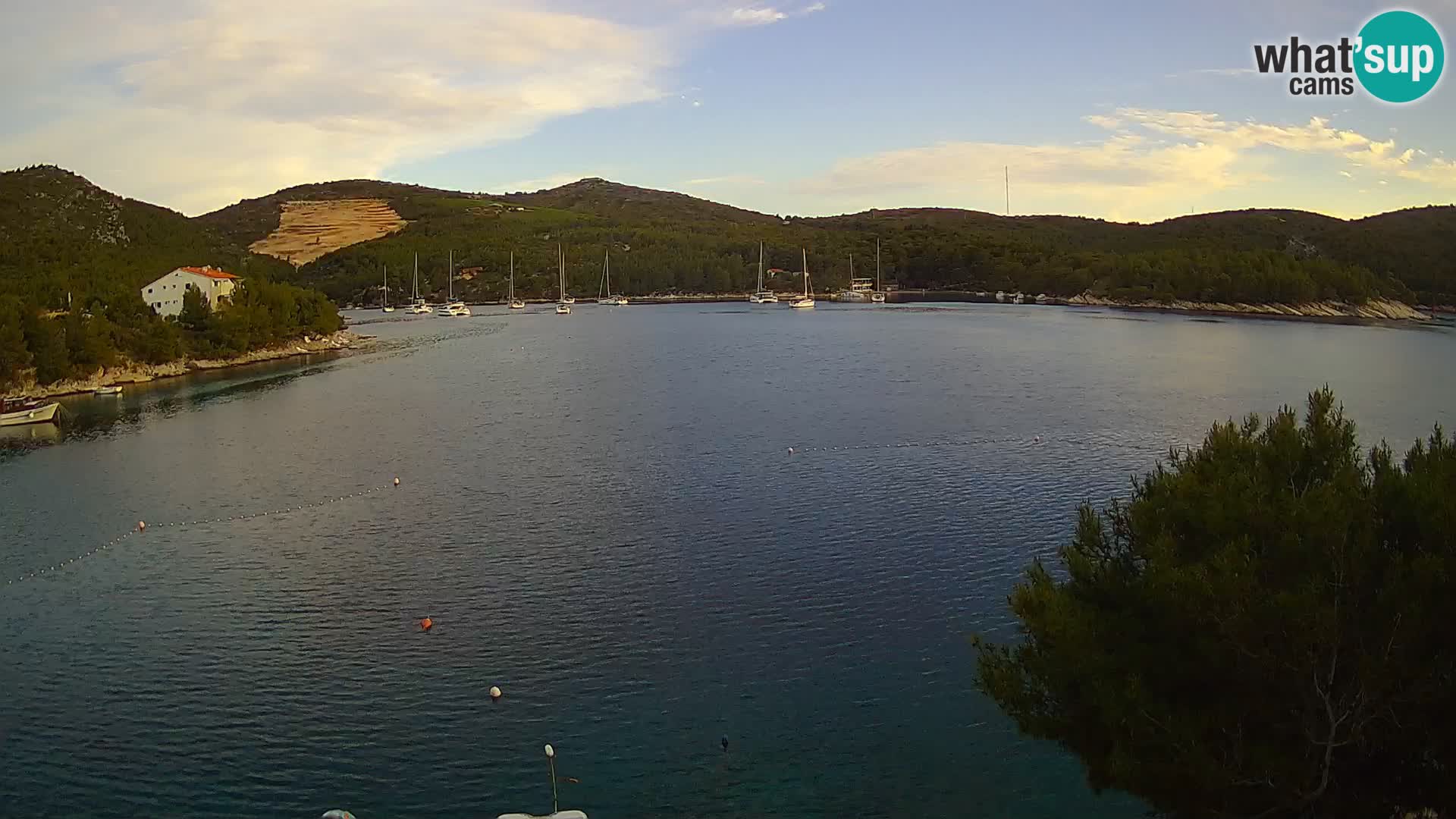 Camera Hvar Vira playa | Isla de Hvar | Dalmacia