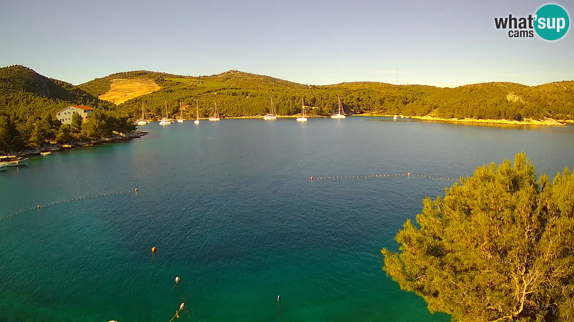 Hvar webcam Vira Strand | Hvar Insel | Dalmatien