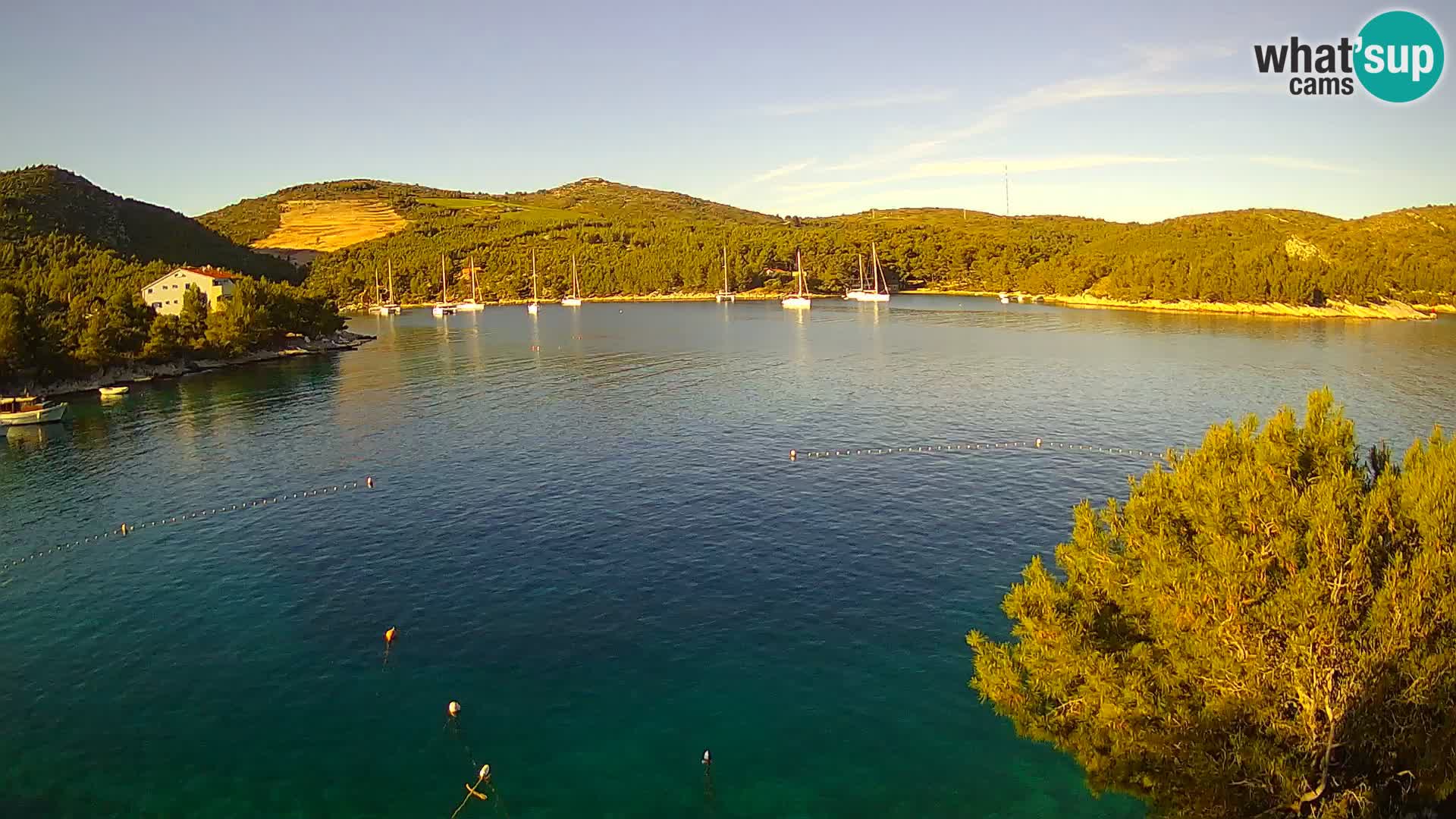 Hvar webcam Vira Strand | Hvar Insel | Dalmatien