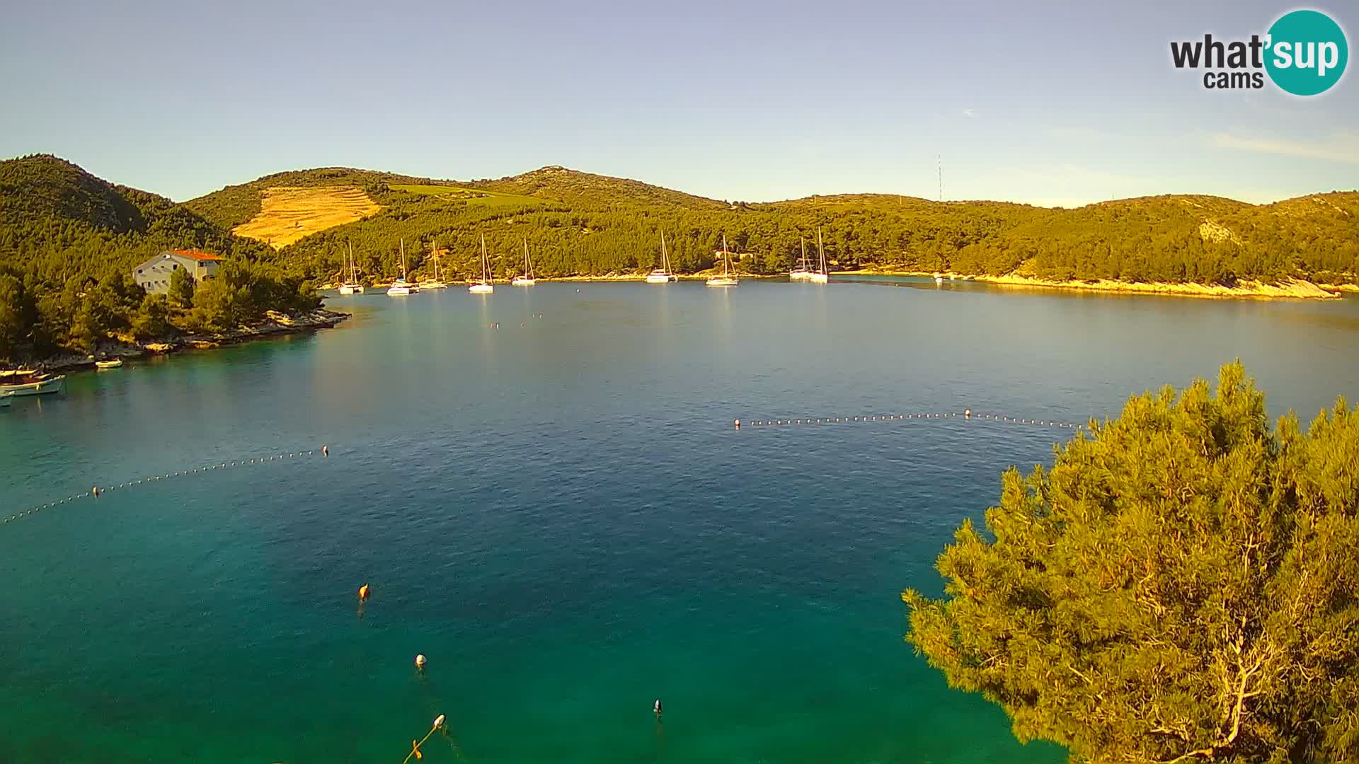 Live cam Hvar Vira plage | Île de Hvar | Dalmatie