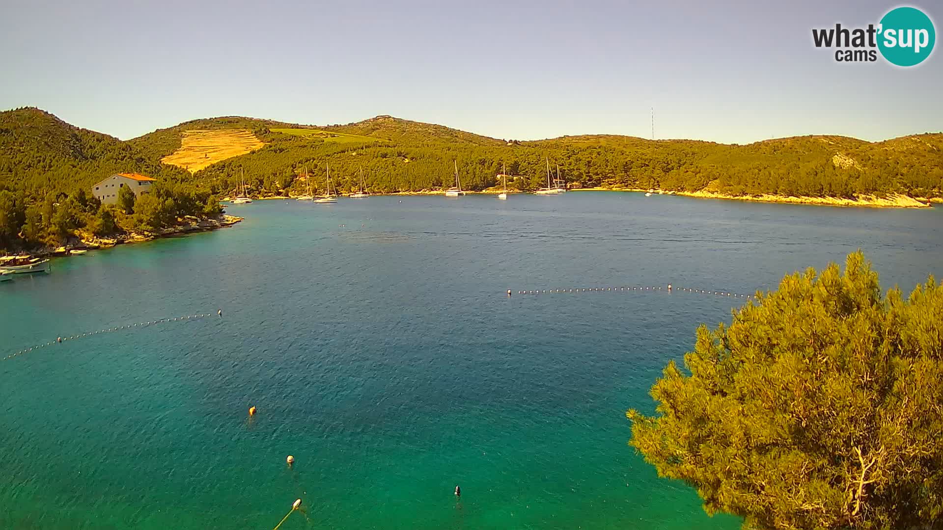 Hvar webcam Vira Strand | Hvar Insel | Dalmatien