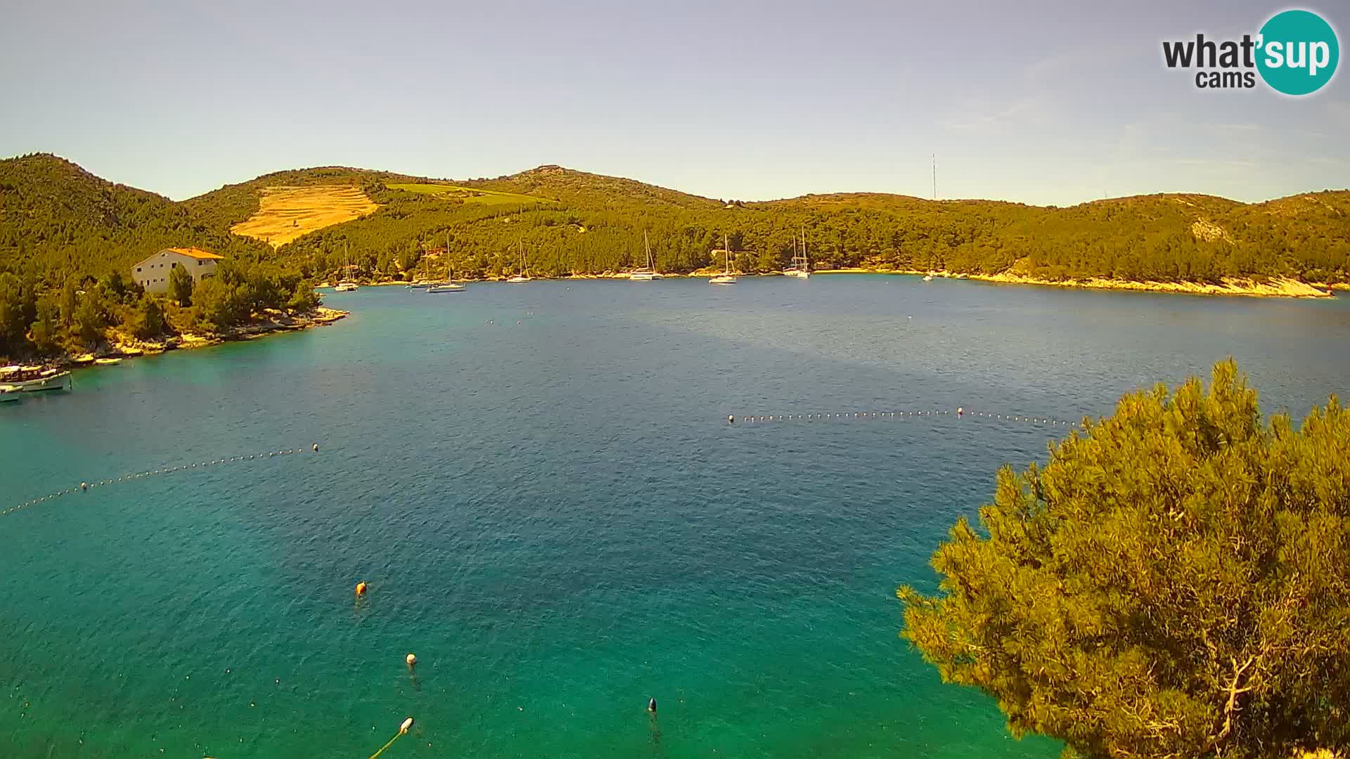 Webcam Hvar Vira beach | Hvar island | Dalmatia