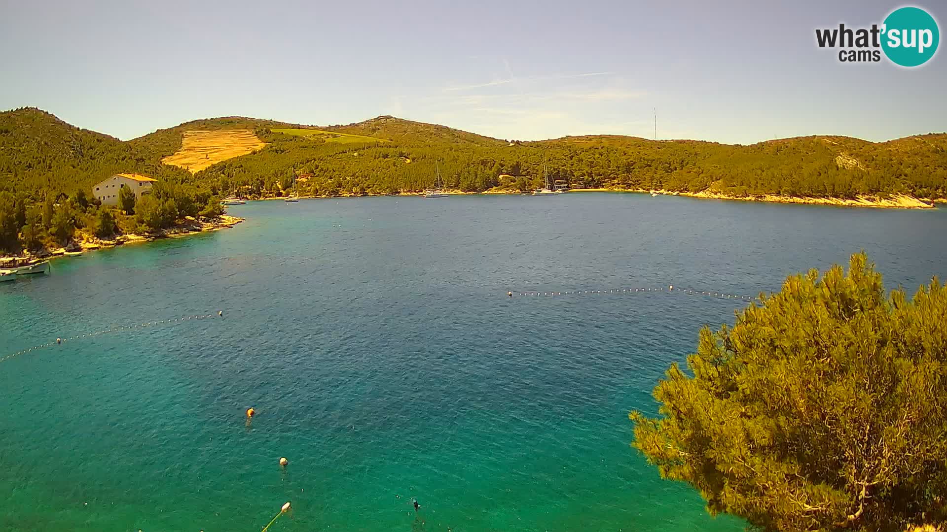 Camera Hvar Vira playa | Isla de Hvar | Dalmacia
