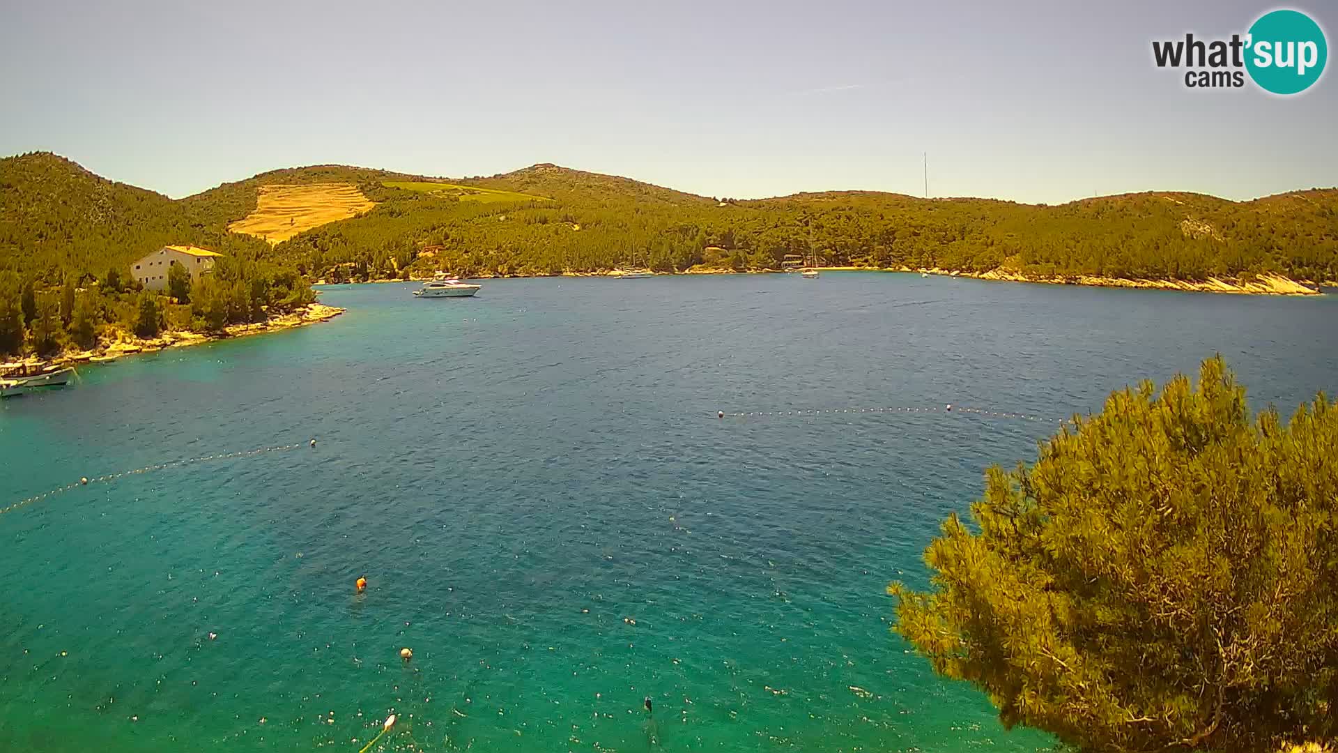 Webcam Hvar Vira beach | Hvar island | Dalmatia