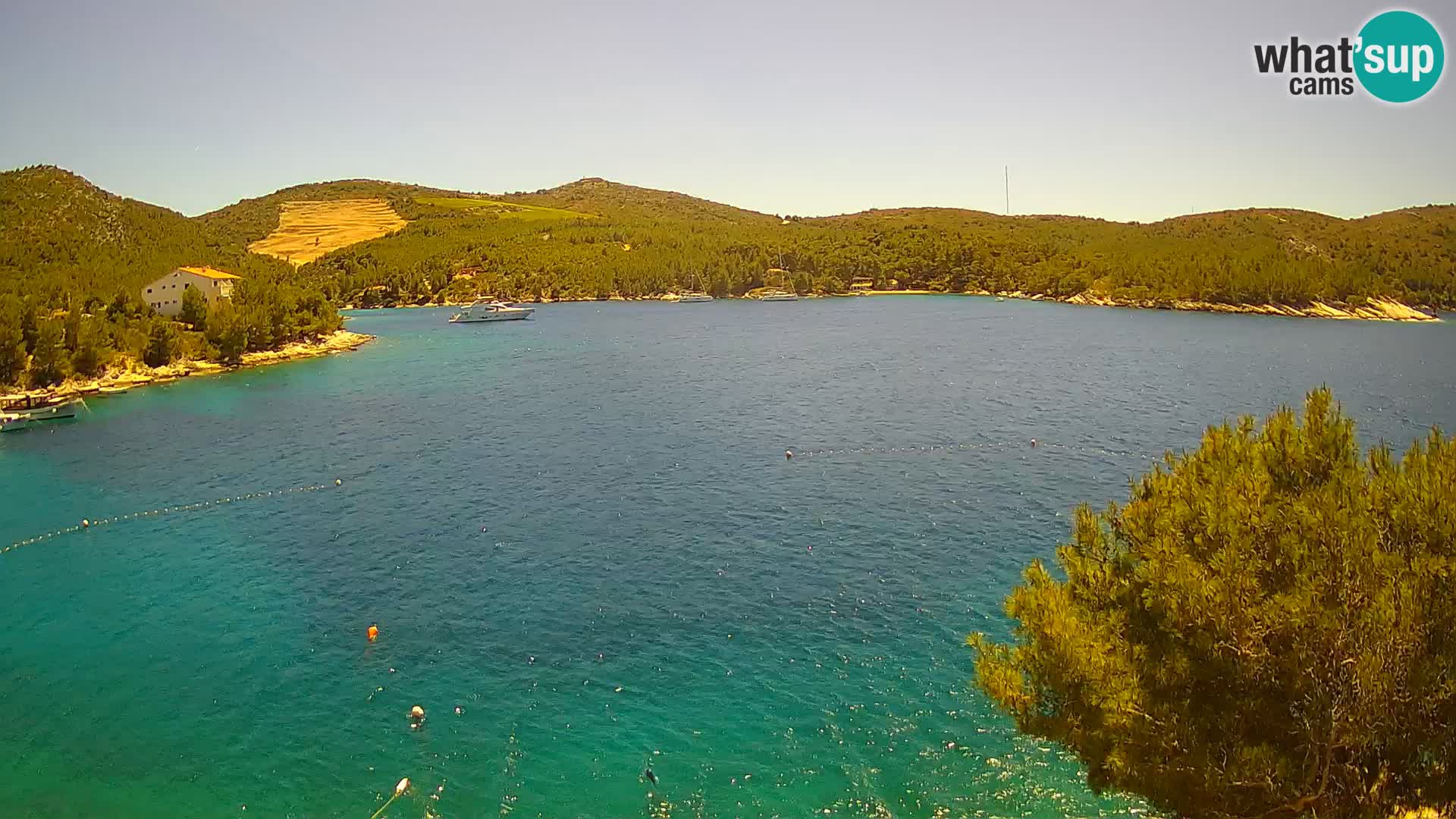 Camera Hvar Vira playa | Isla de Hvar | Dalmacia