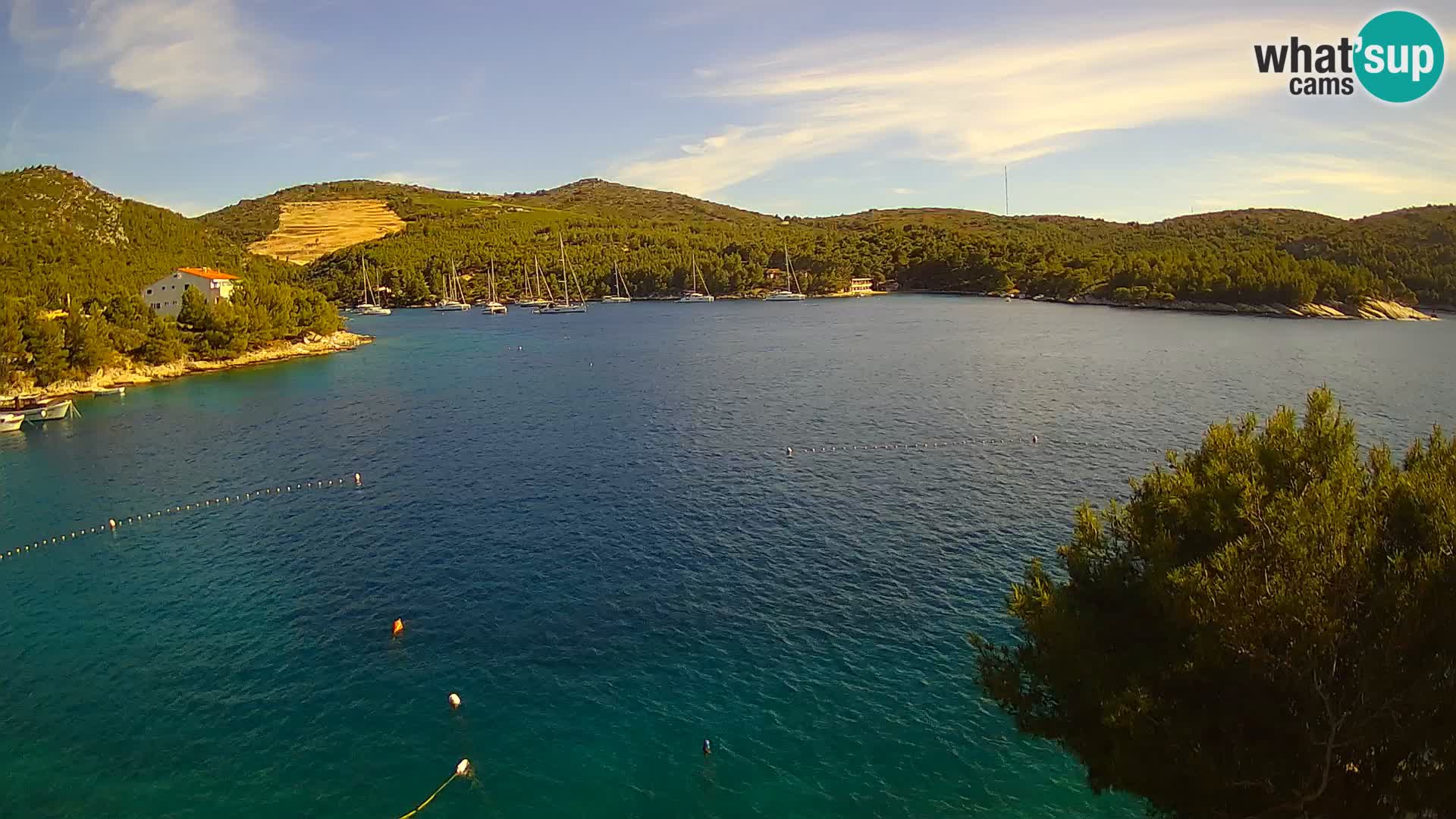 Camera Hvar Vira playa | Isla de Hvar | Dalmacia