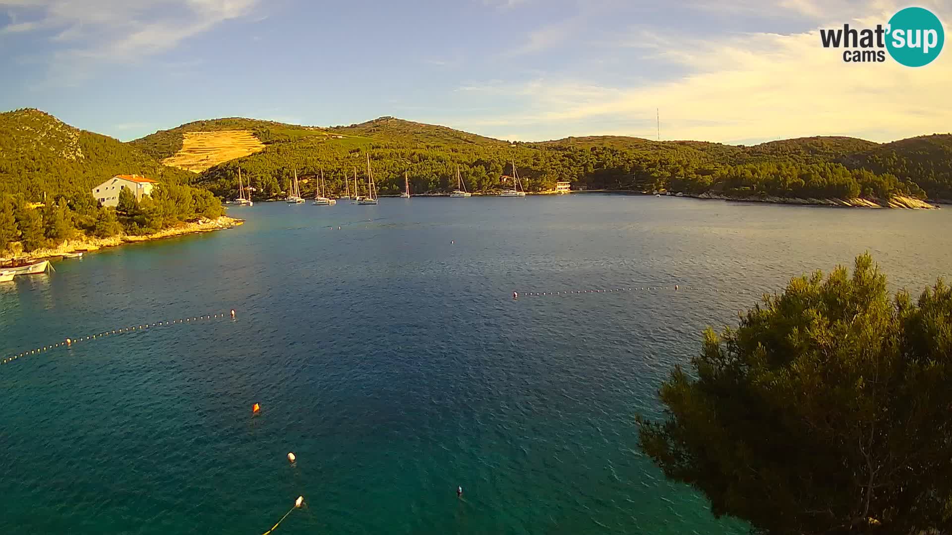 Hvar webcam Vira Strand | Hvar Insel | Dalmatien