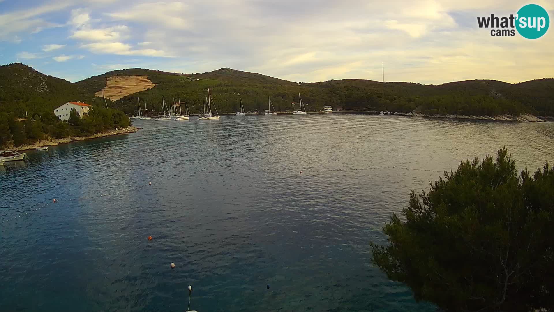 Webcam Hvar Vira beach | Hvar island | Dalmatia