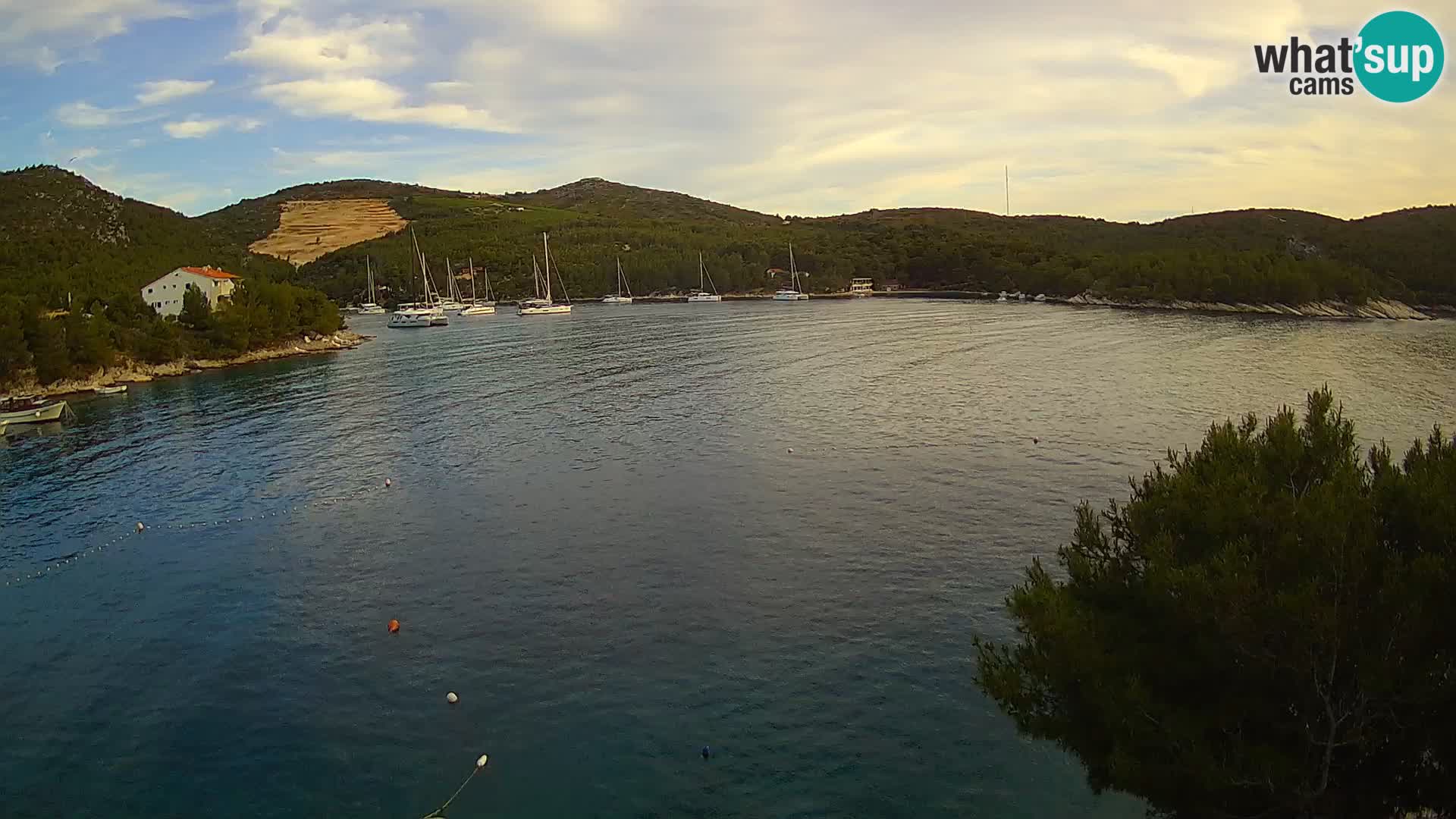 Webcam Hvar Vira beach | Hvar island | Dalmatia