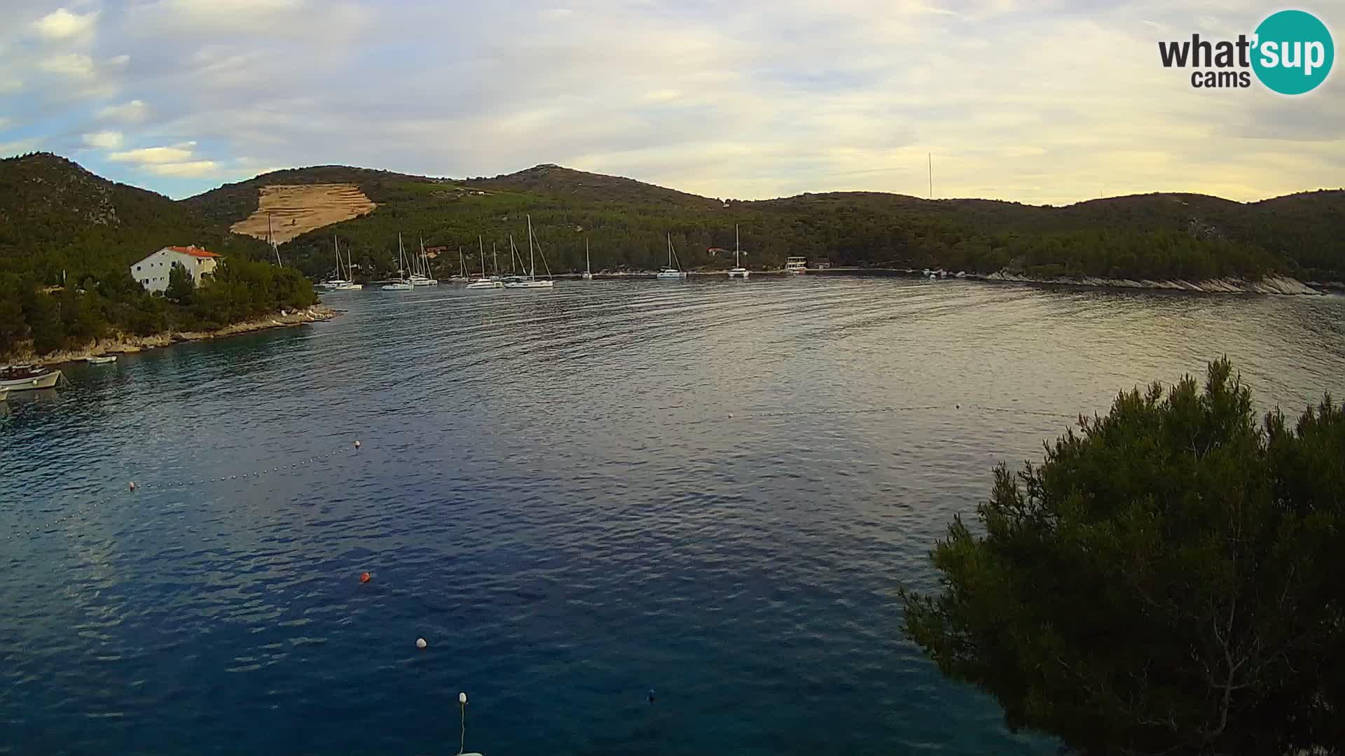 Webcam Hvar Vira beach | Hvar island | Dalmatia