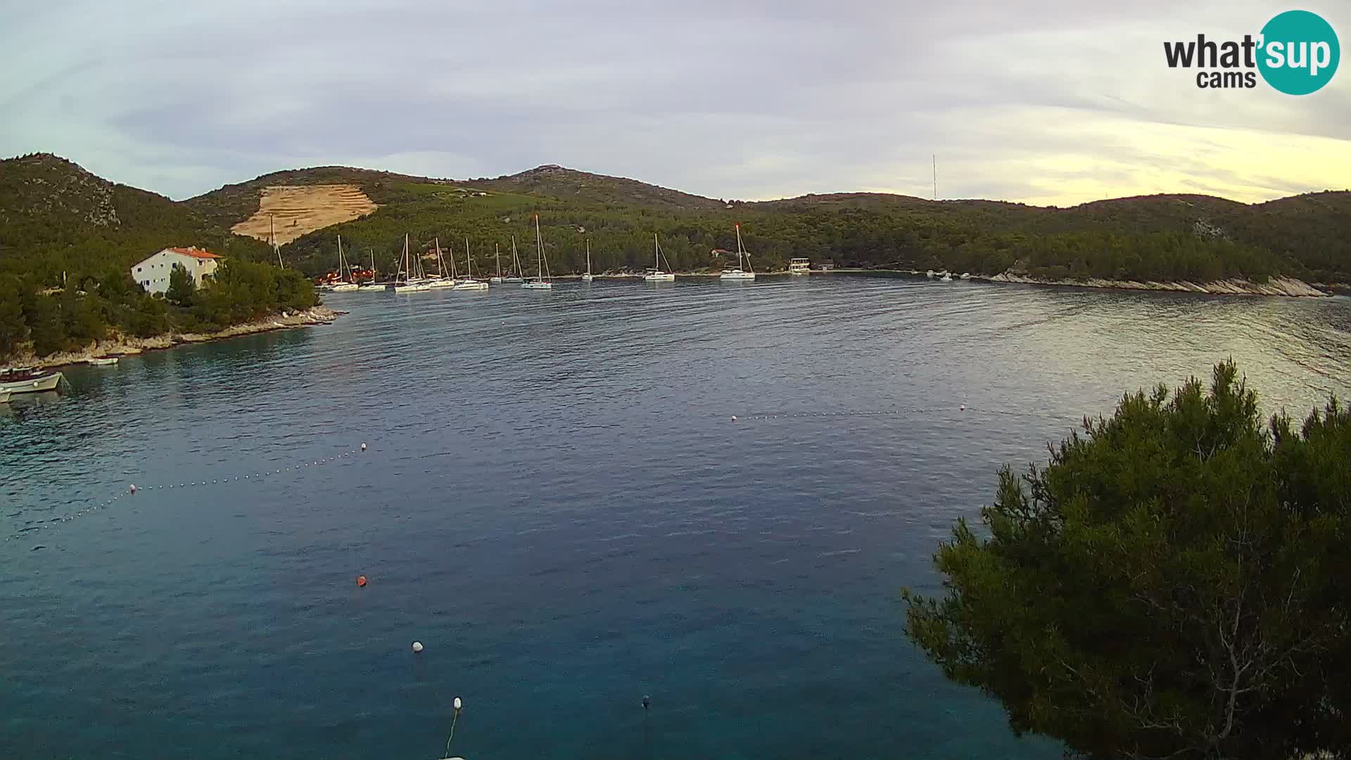 Hvar webcam Vira Strand | Hvar Insel | Dalmatien