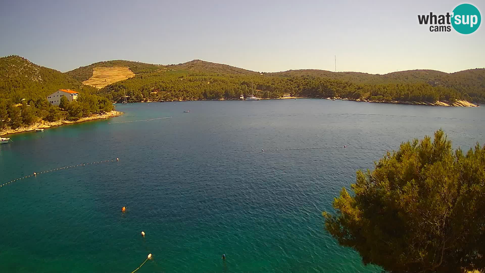Camera Hvar Vira playa | Isla de Hvar | Dalmacia