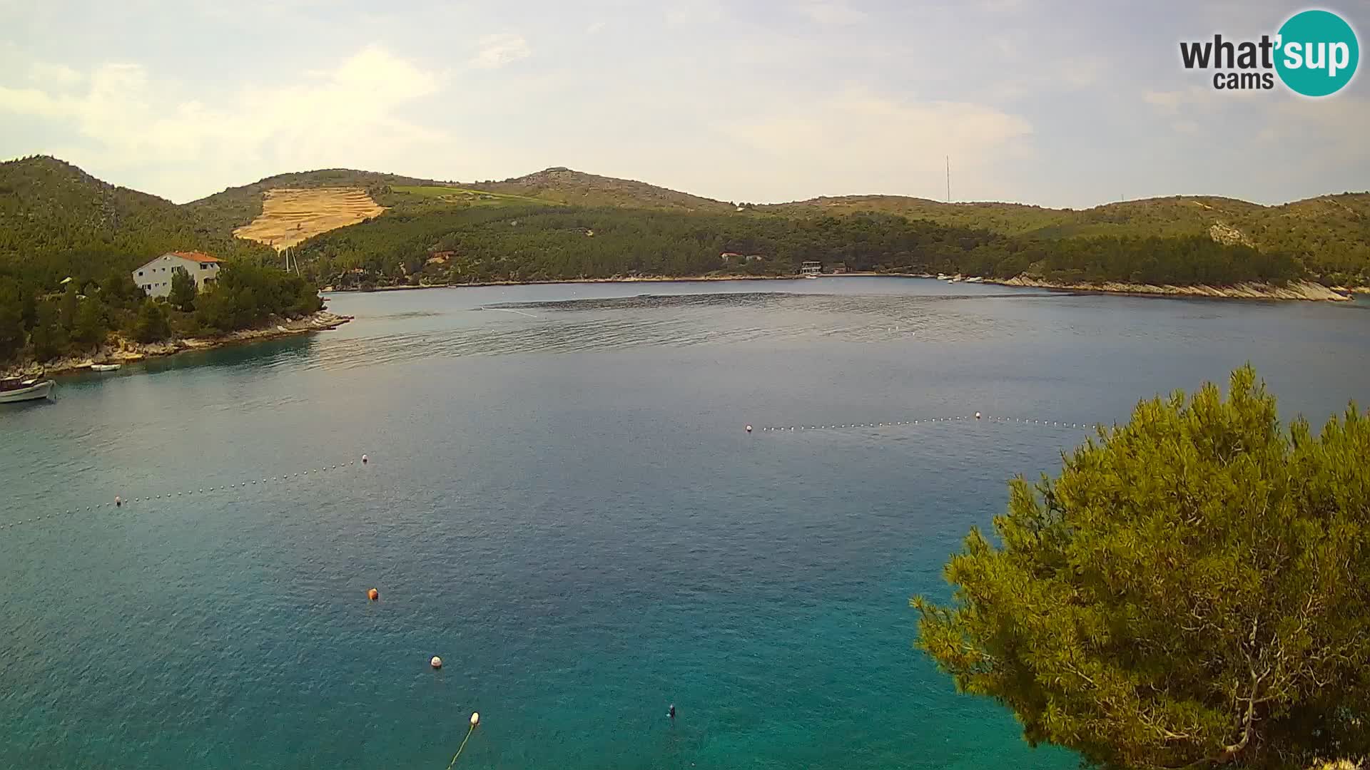 Camera Hvar Vira playa | Isla de Hvar | Dalmacia